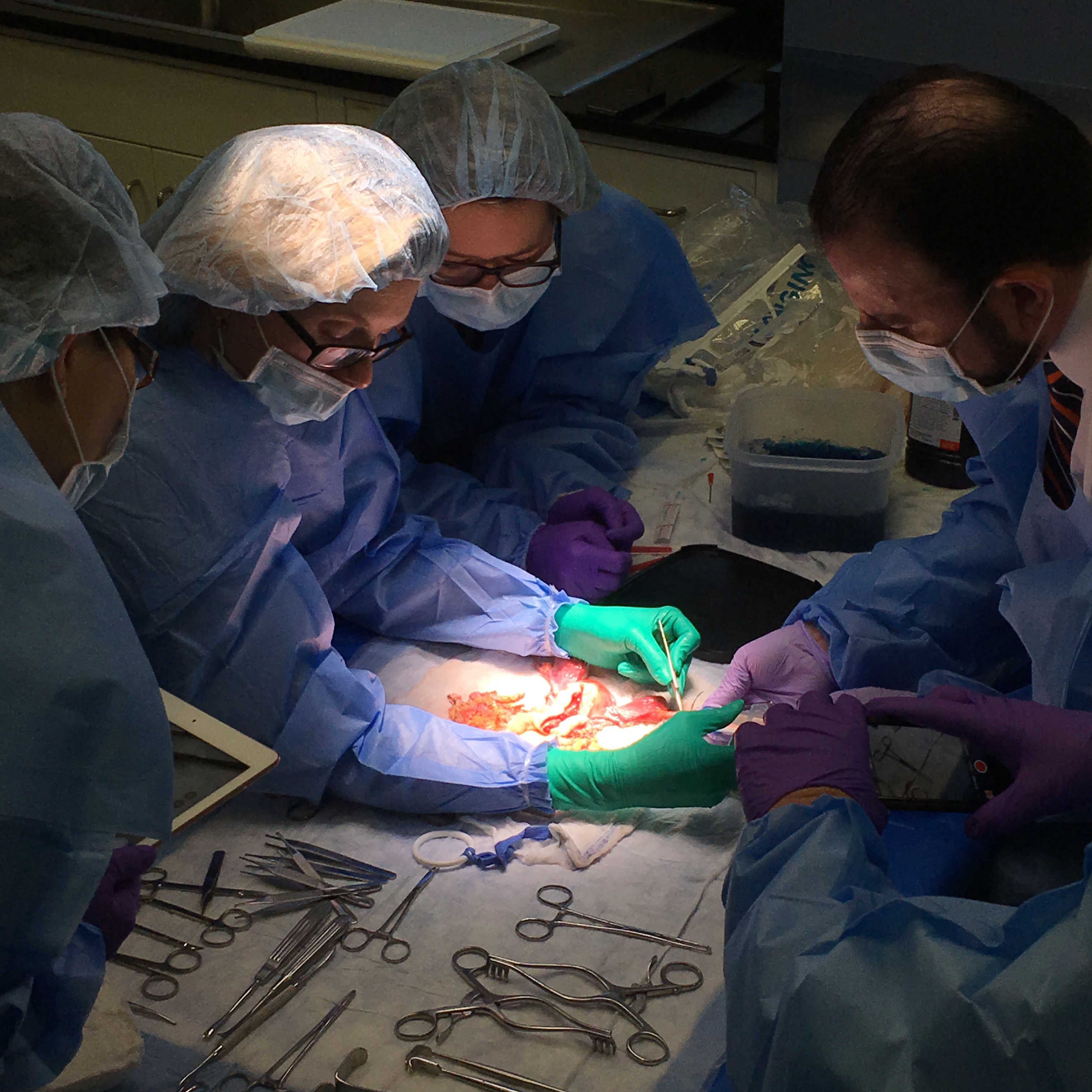 uterine transplant surgery