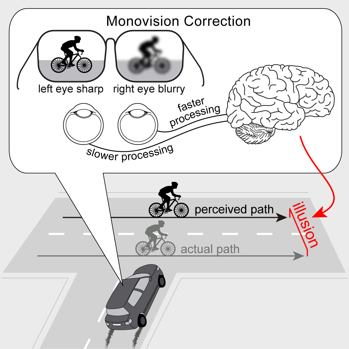 Black and white graphic of a cartoon car and two cartoon cyclists. In front of one cyclist says "actual path," in front of the other says "perceived path" and a line between says "illusion." A comment bubble above shows a brain and glasses, with the words, "slower processing," "faster processing," "left eye sharp" and "right eye sharp."