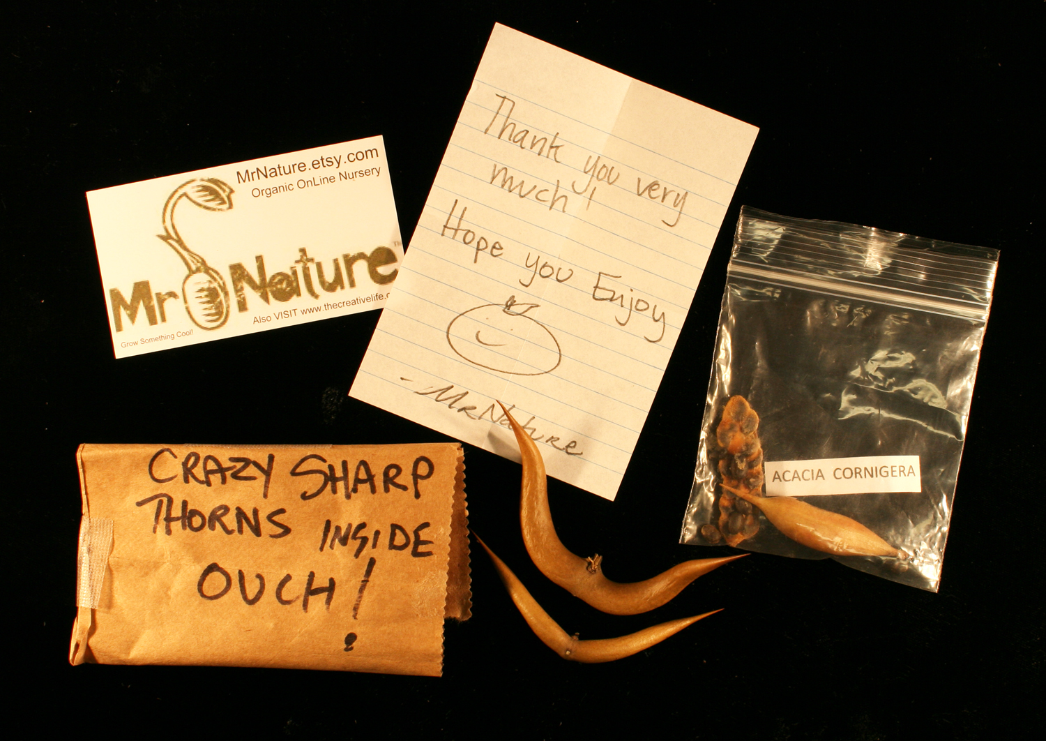 Contents of a package reading "Crazy sharp thorns inside ouch!" of the plant acacia cornigera
