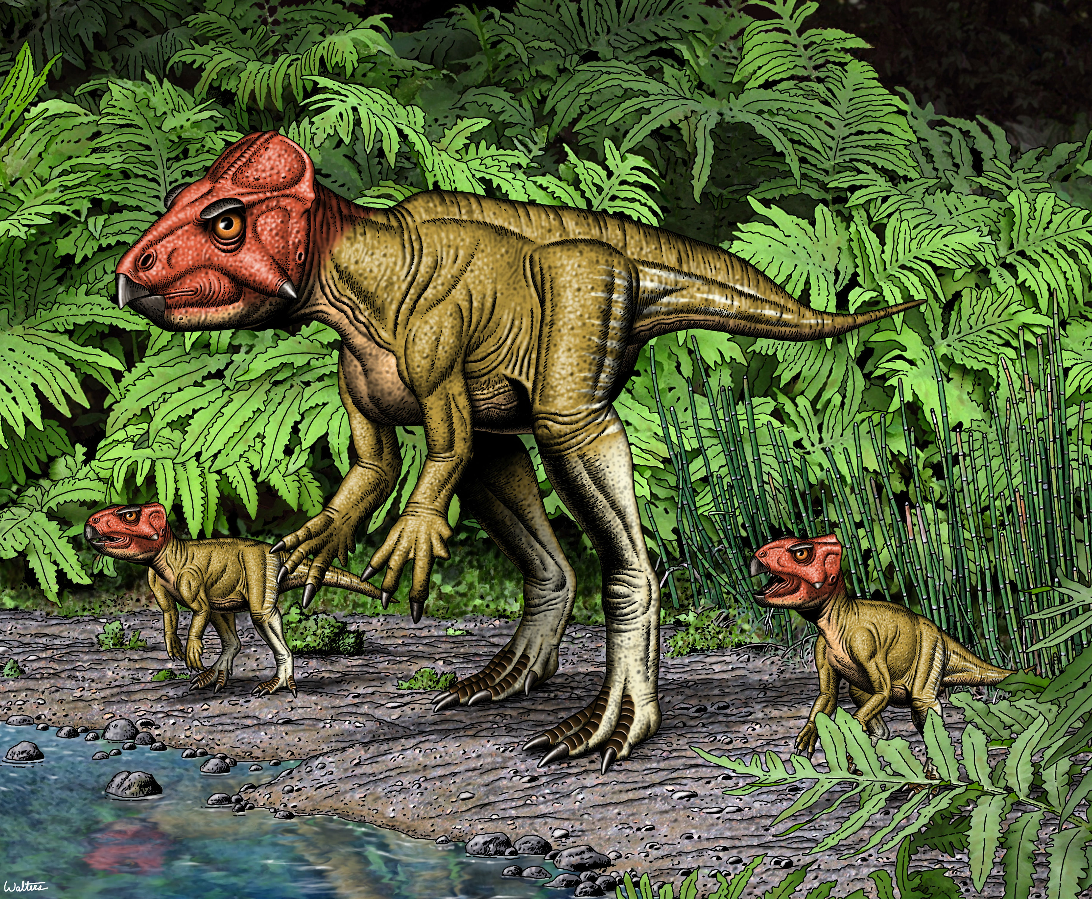 adult dinosaur with frill on skull characterized by penn paleontologists is standing on two legs and flanked by two smaller dinosaurs on the water's edge