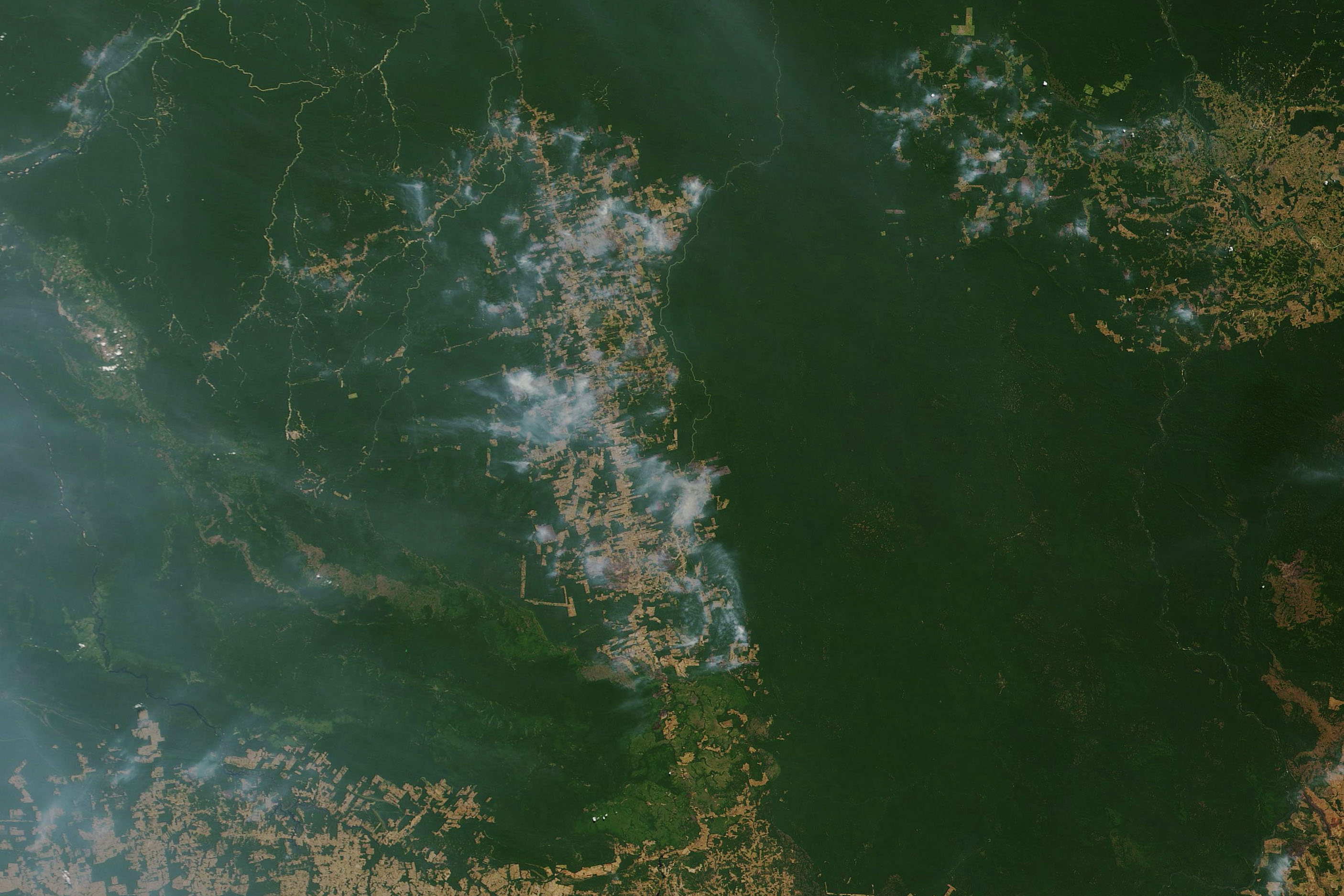 Satellite image shows smoke rising from edges of large patches of green land