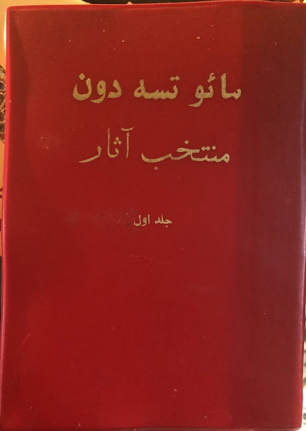 Red book with gold lettering on the cover in Farsi that translates into "Little Red Book"