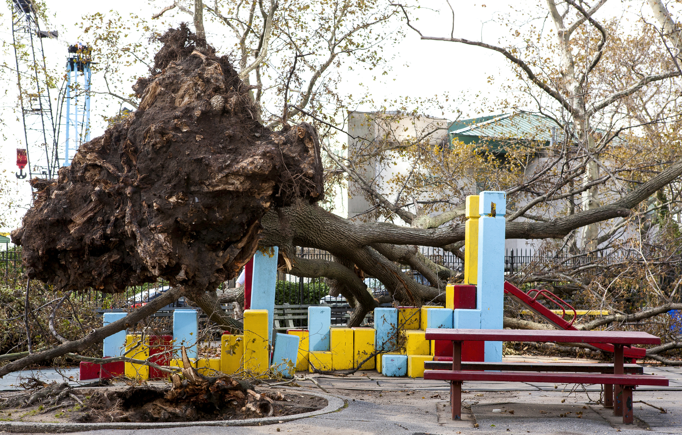 a fallen tree on top of a playground next to a picnic table