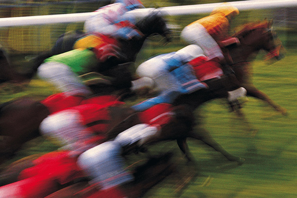 Blurred sport shot of horses racing in a pack close together on grass.