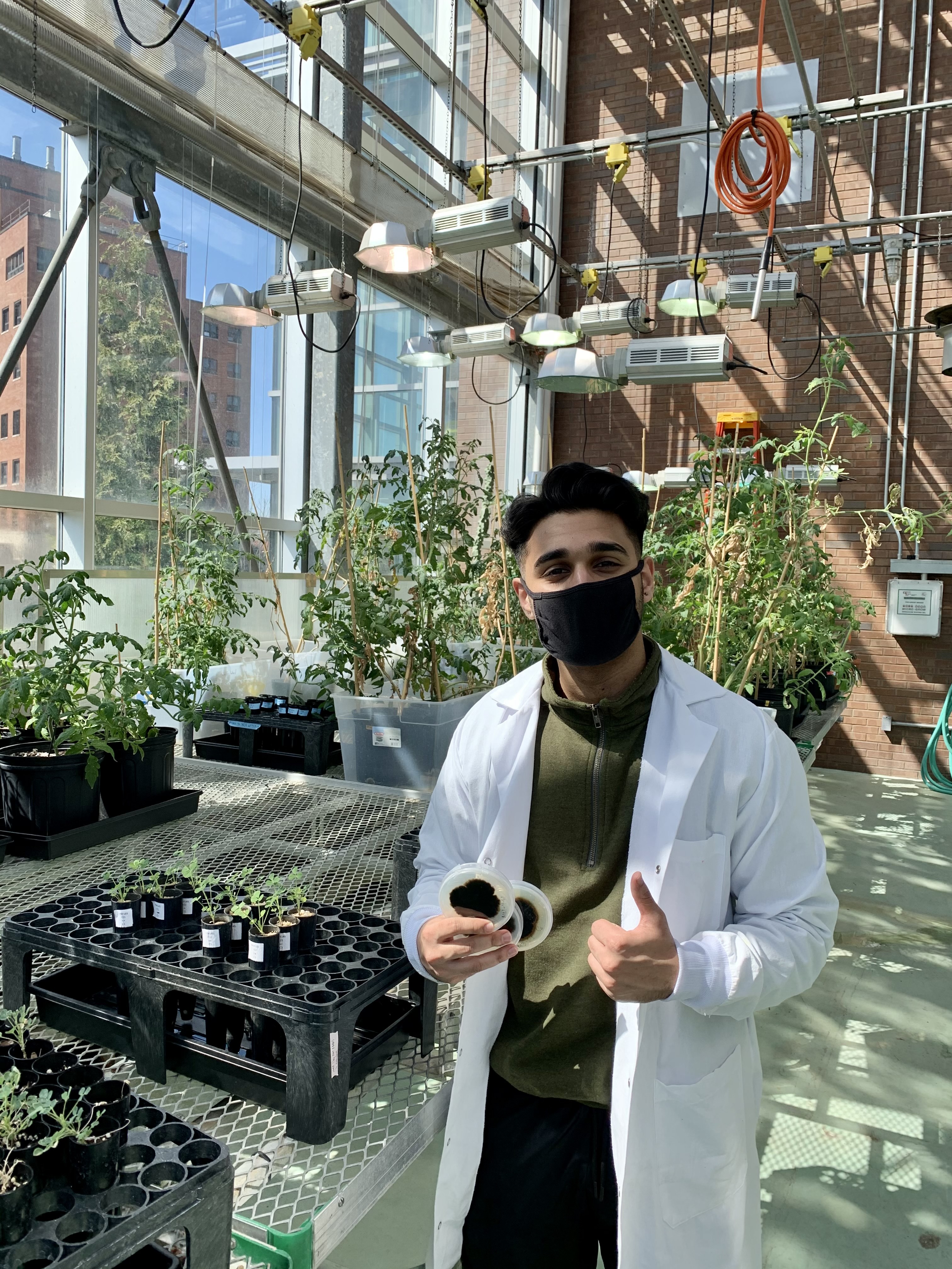 Student Arsam Shaikh in a greenhouse