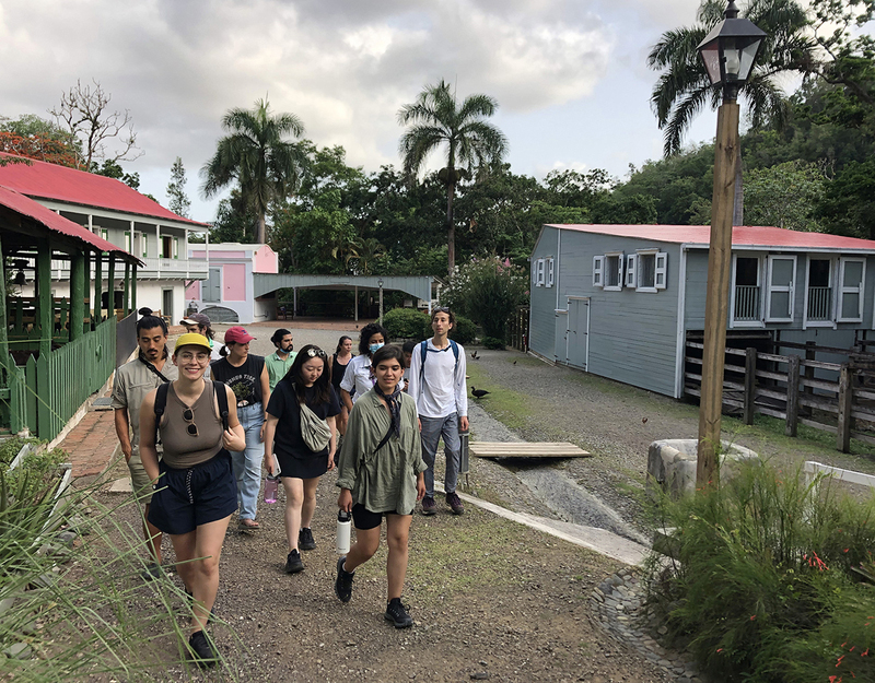 Group of people walking around a coffee plantation in Puerto Rico.