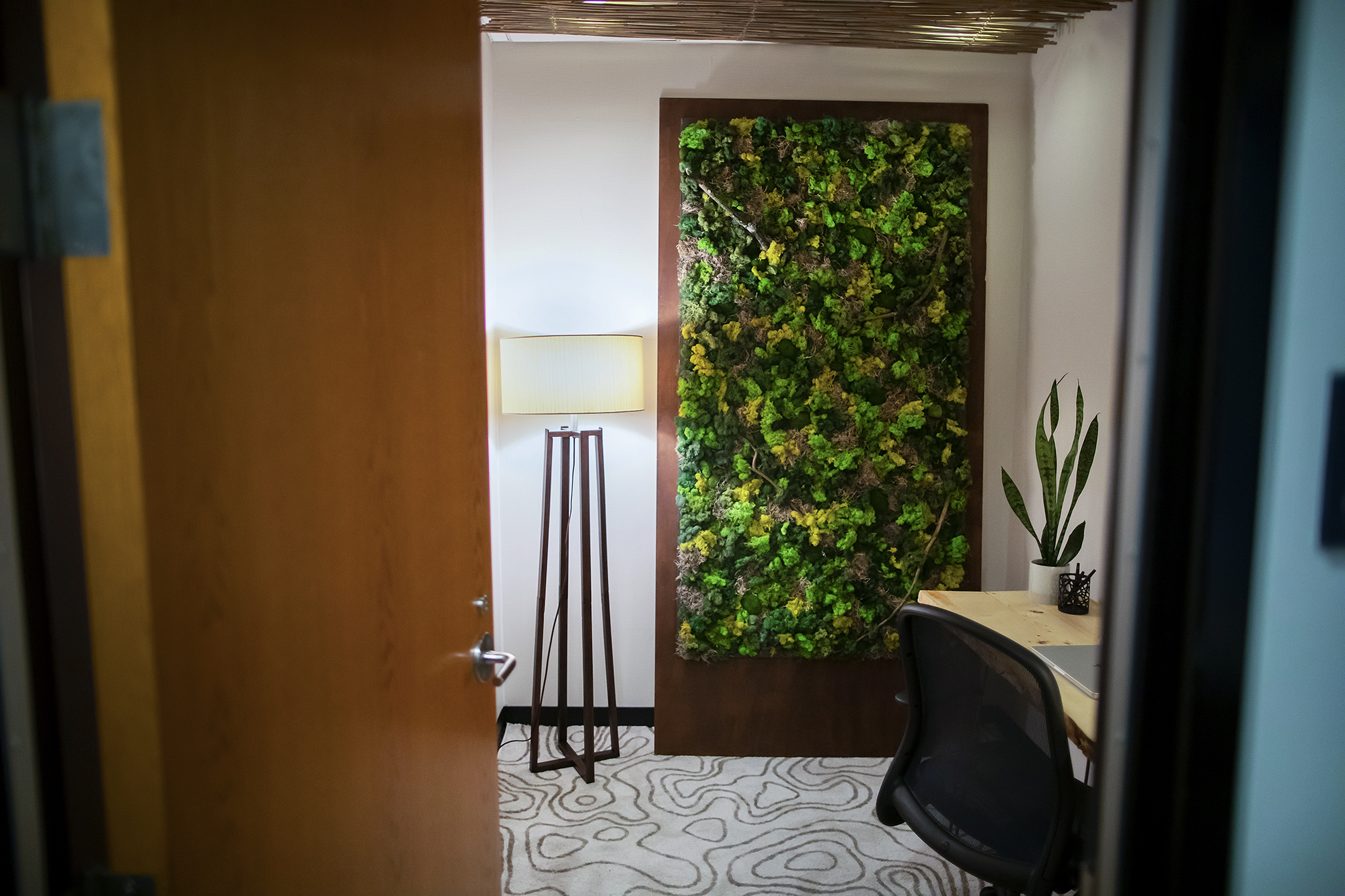 The entrance to the biophilic room, an office with a living wall, a topographic-designed rug, a lamp and bamboo on the ceiling.