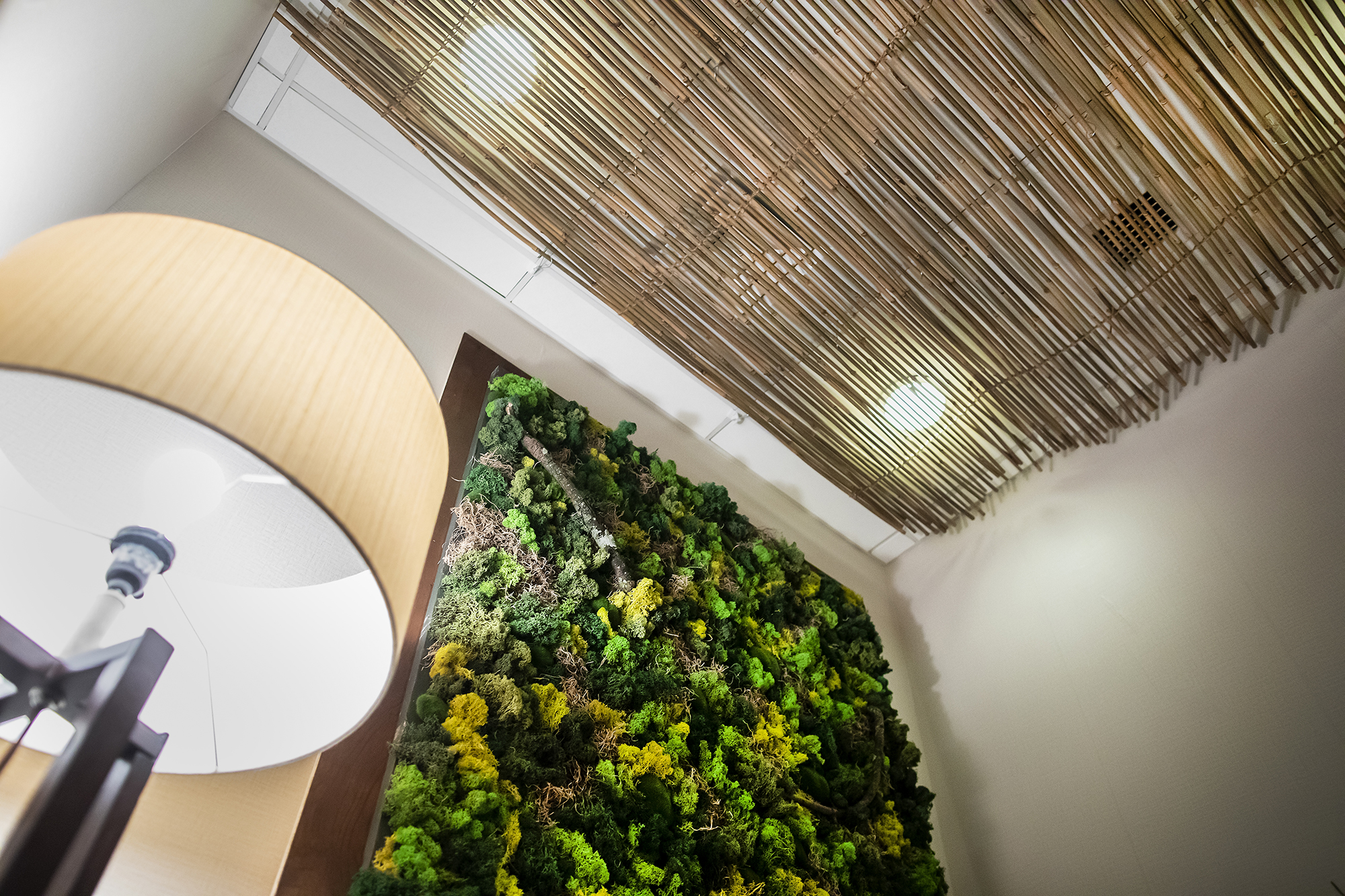 A biophilic room with a living wall and bamboo mat on the ceiling