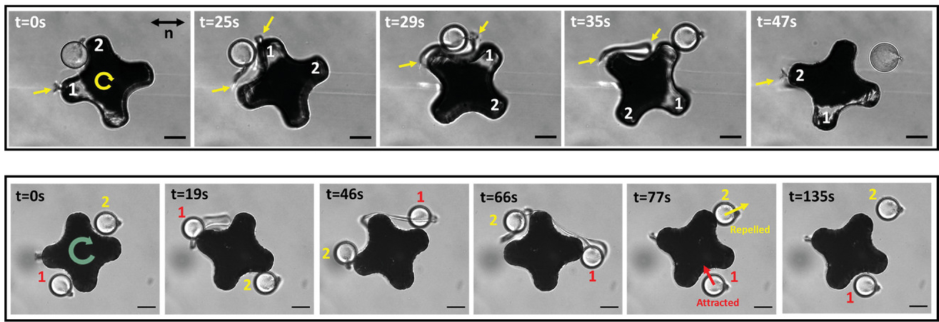 Ten slides showing the rotation of a microscopic robot.