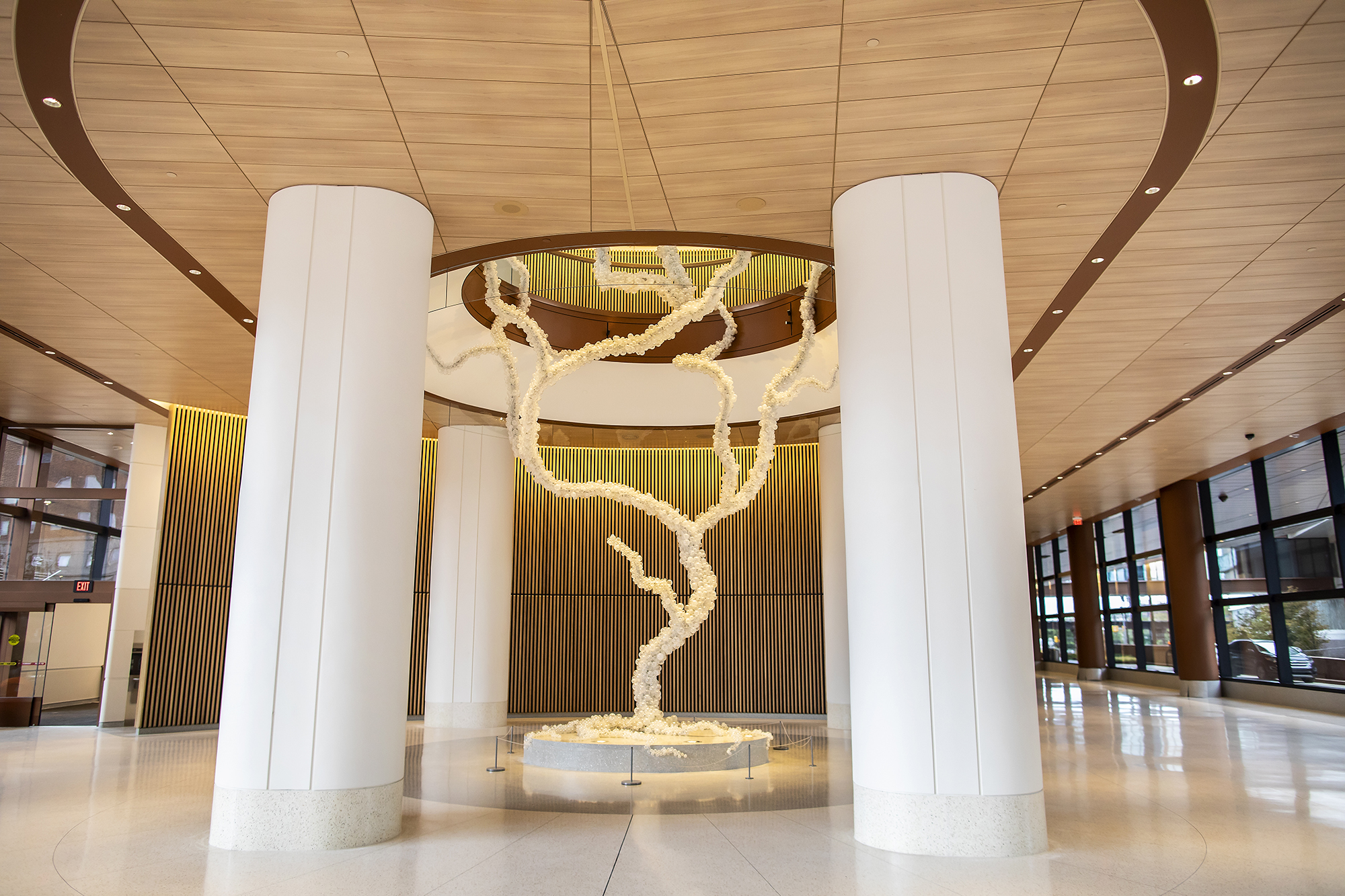 sculpture that looks like white tree branches in a modern hall