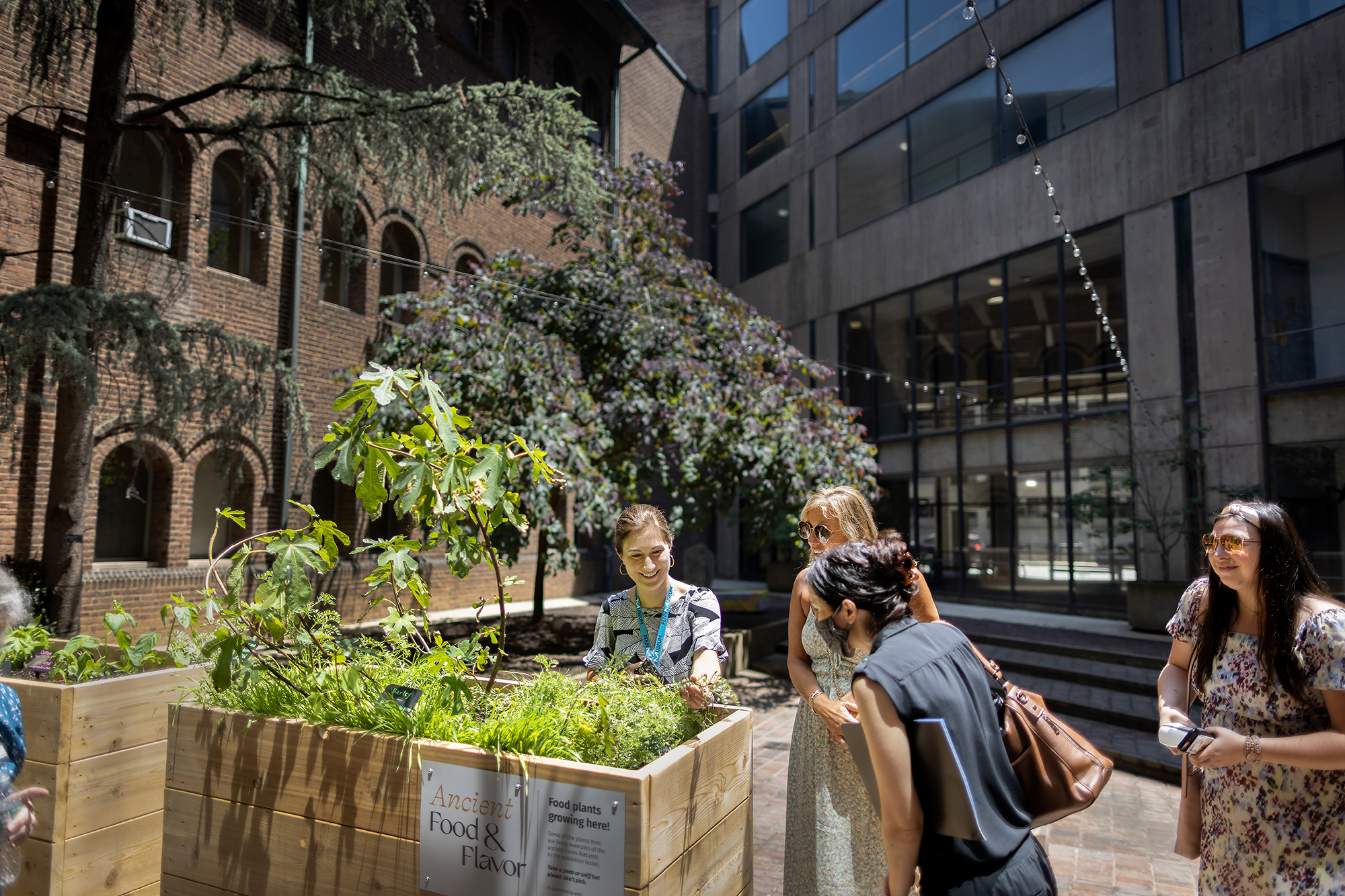 Four people outside looking at a wood planter box filled with plants
