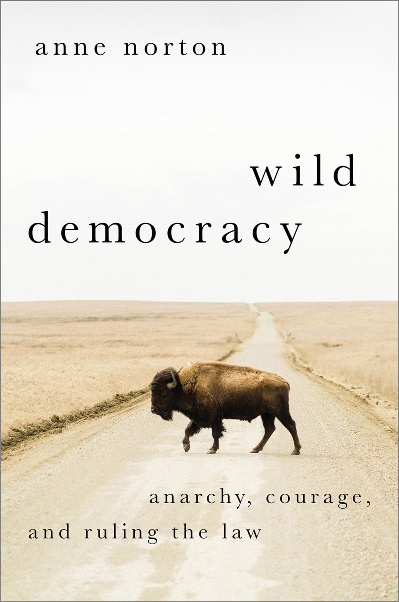 Book cover for Wild Democracy
