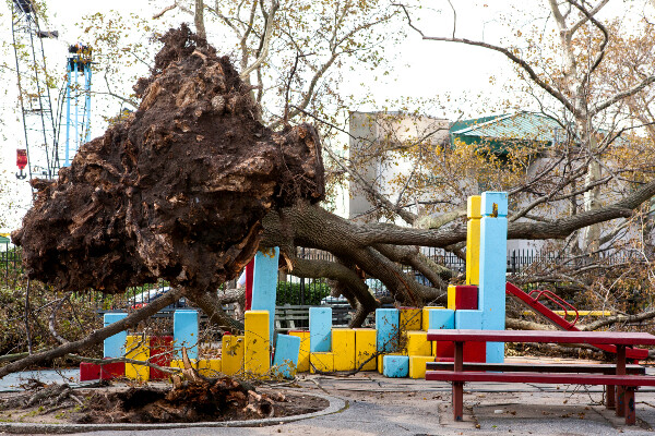 a fallen tree on top of a playground next to a picnic table
