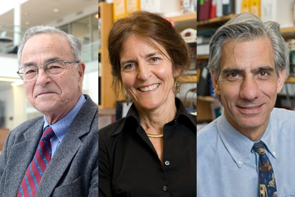 Trio of photos of vision researchers Gustavo Aguirre, Jean Bennett and Albert Maguire