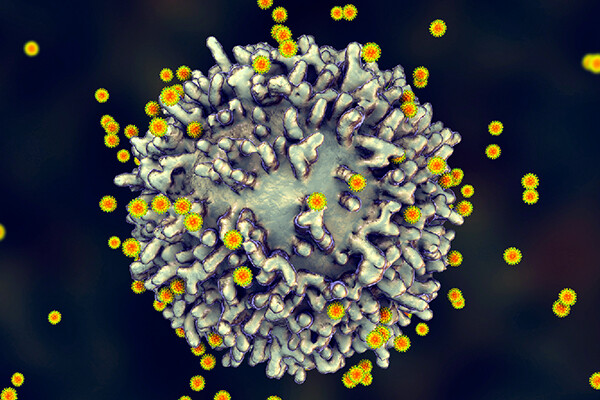 Microscopic view of a virus
