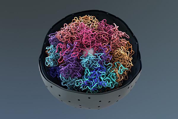 rendering of a cell nucleus amidst multicolored cellular matter