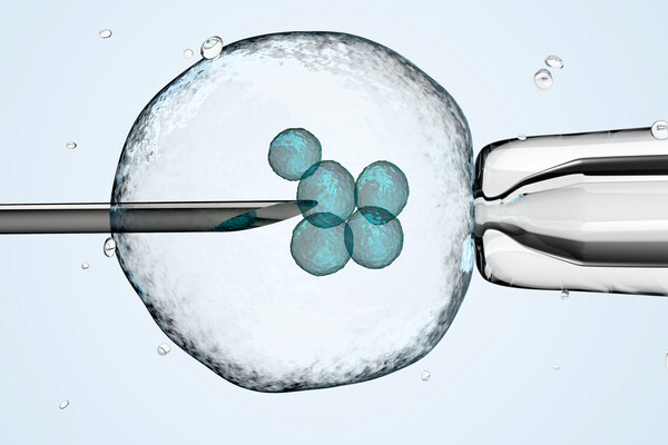 3D illustration of a cell being held by a pipette and a needle.