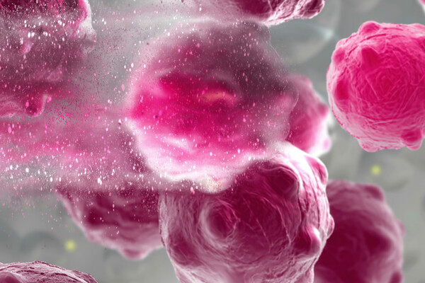 3d illustration of a damaged and disintegrating cancer cell.