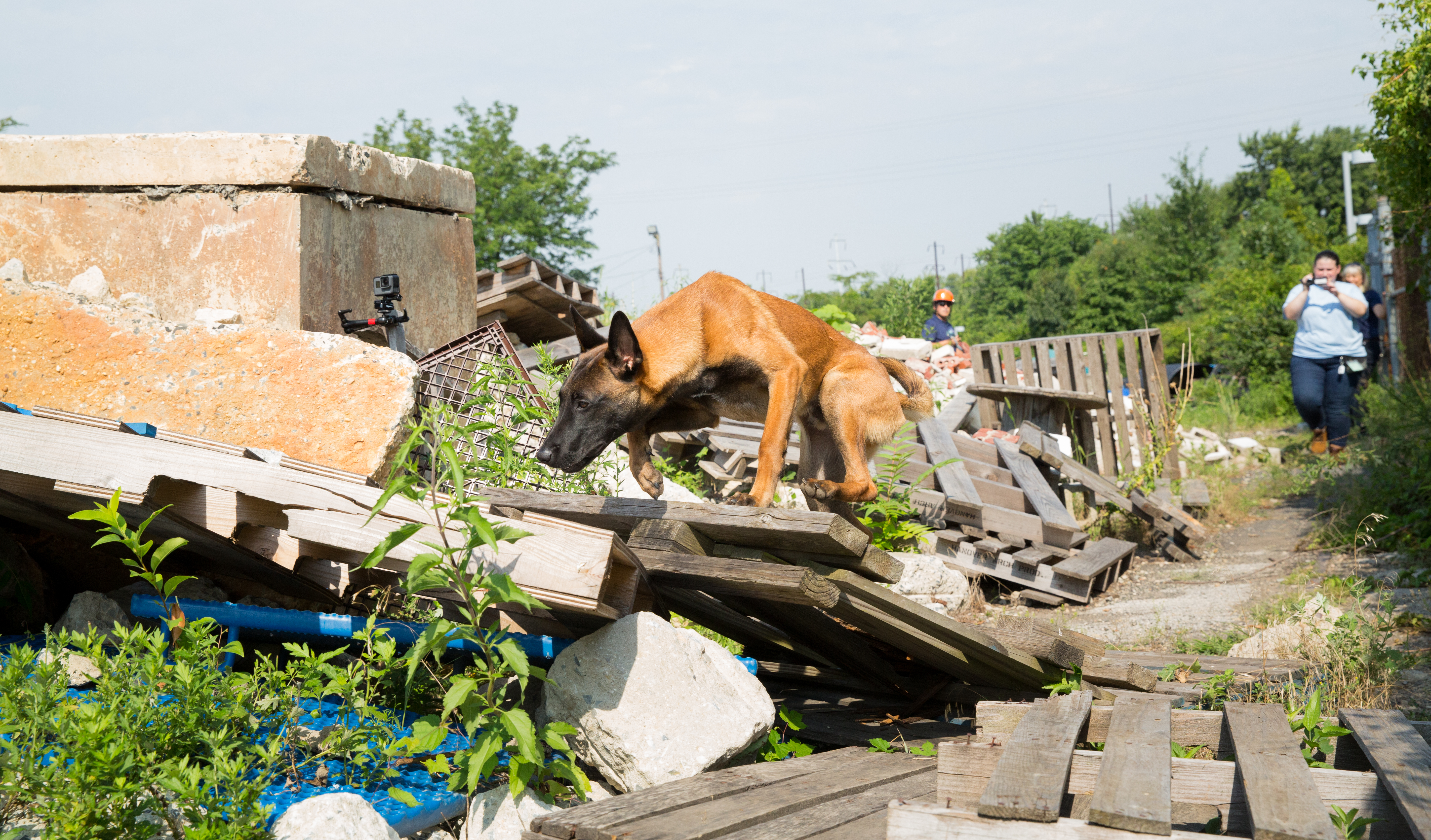 Penn Working Dog Center