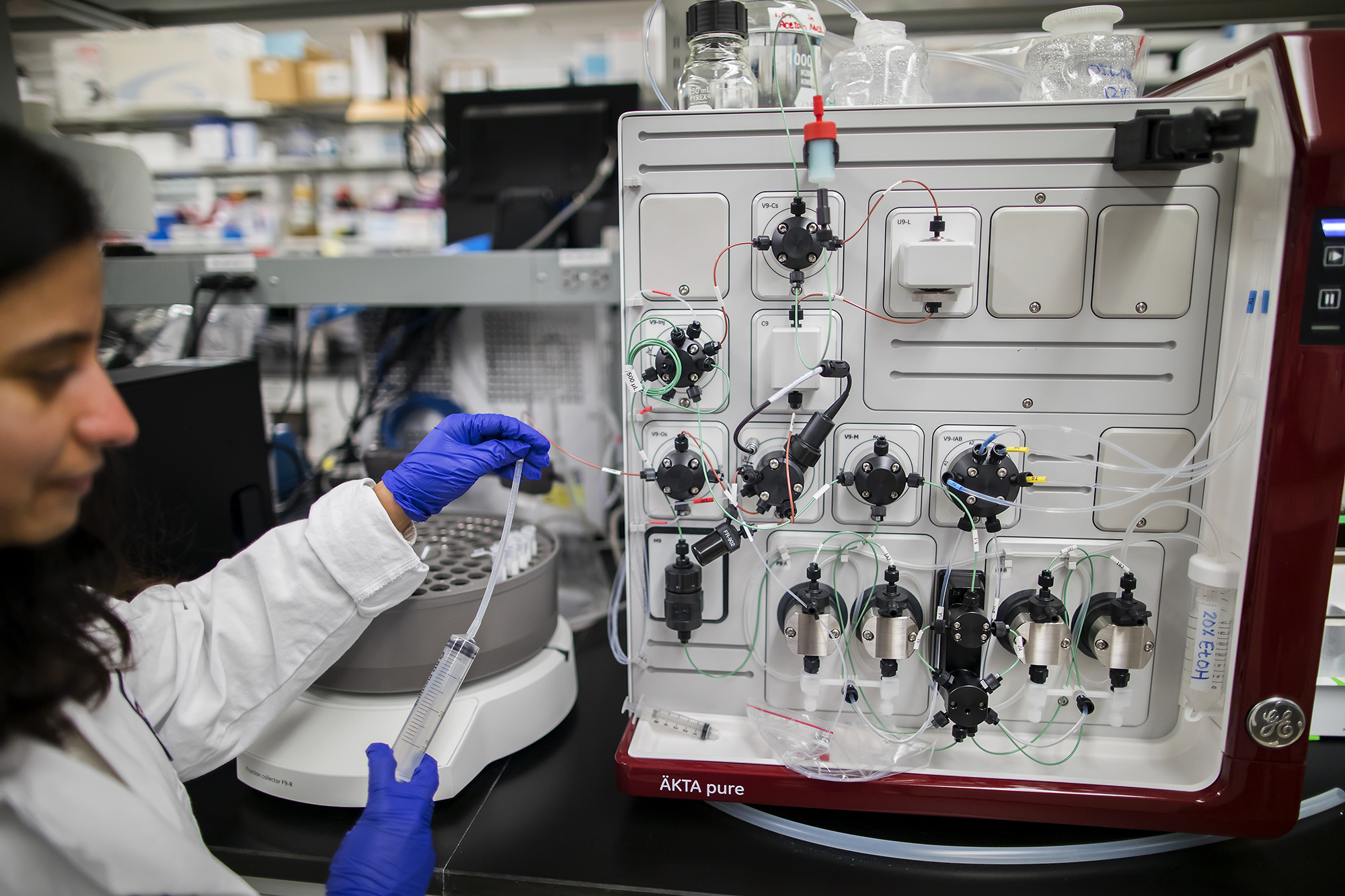 In the Hajishengallis lab, Kavita Hosur inspects equipment