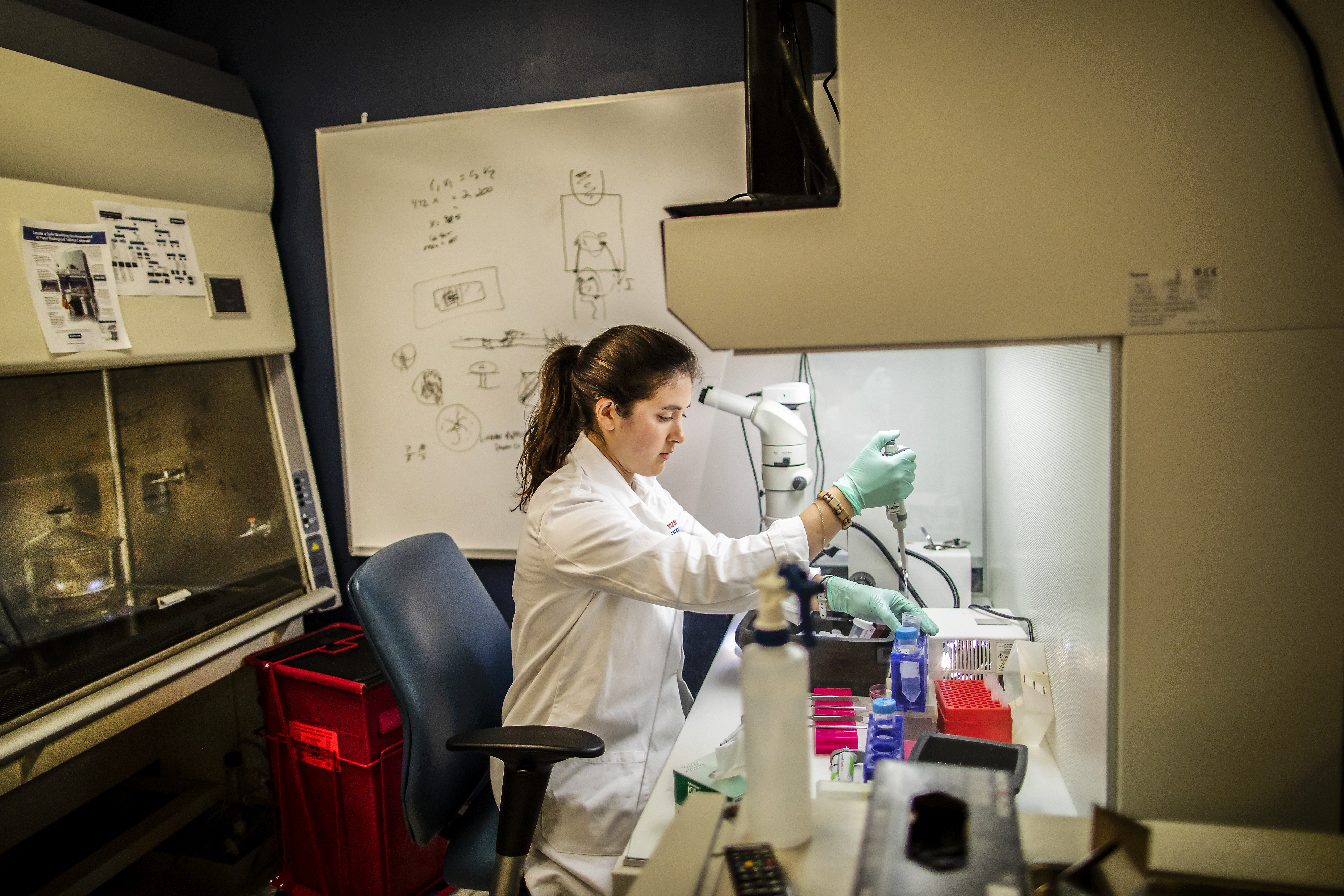 Undergraduate bioengineering student Kate Panzer