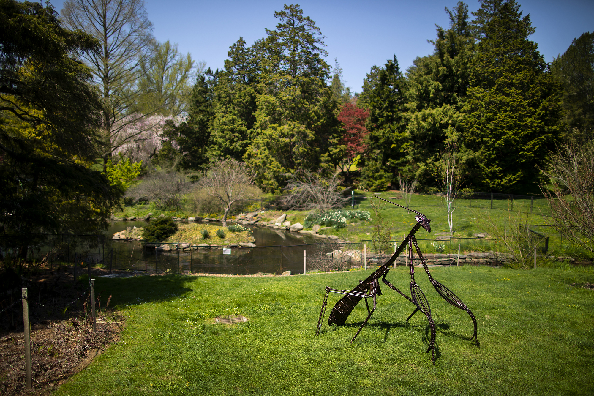 Time in the Garden 