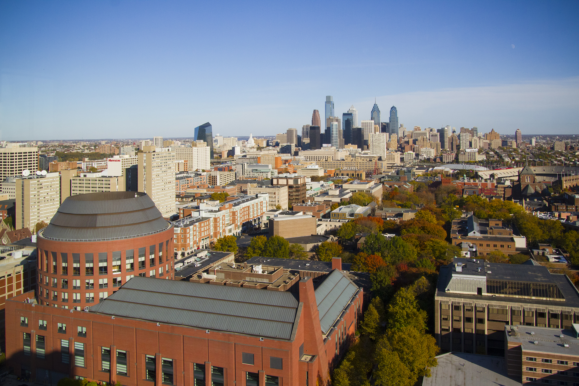 Penn Trees