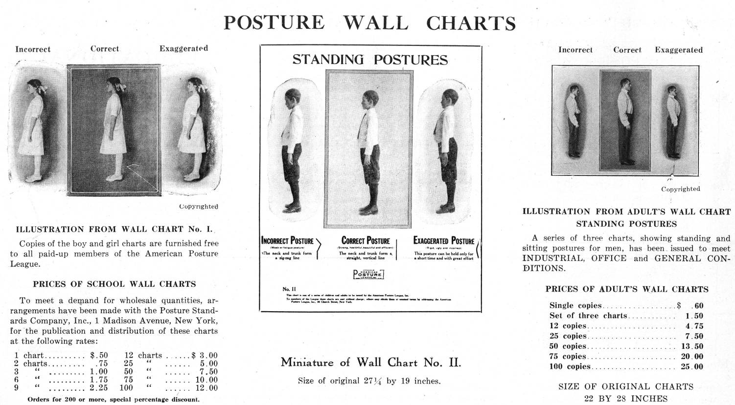 Linker.posture wall charts