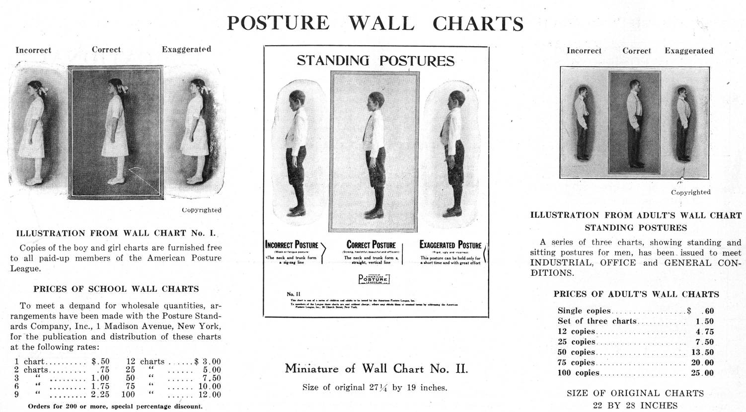 Posture Guide, Good vs. Bad Posture