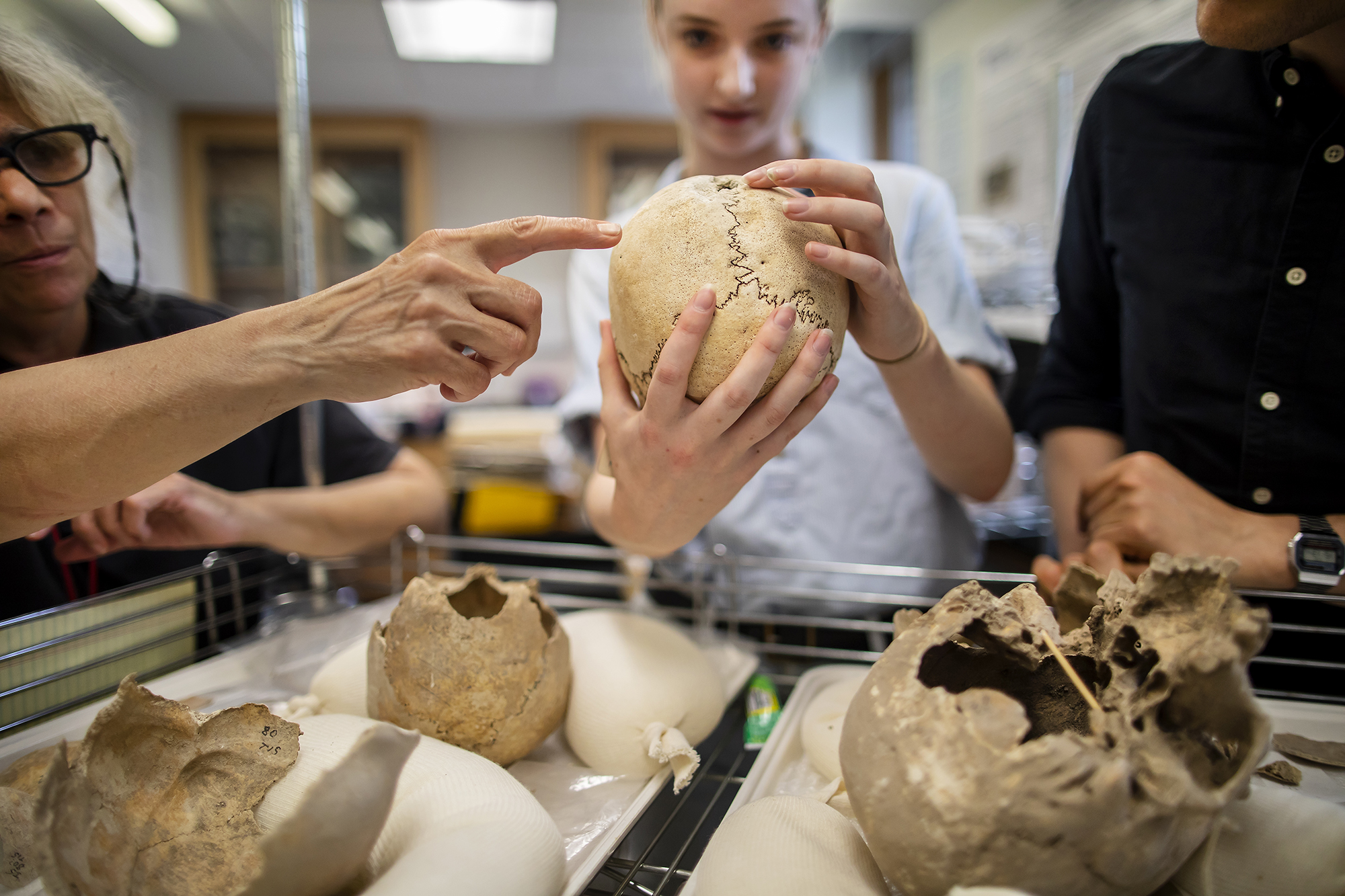In the lab of Janet Monge (left), rising senior Fiona Jensen-Hitch (holding the skull) is studying human remains from the ancient site of Gibeon.