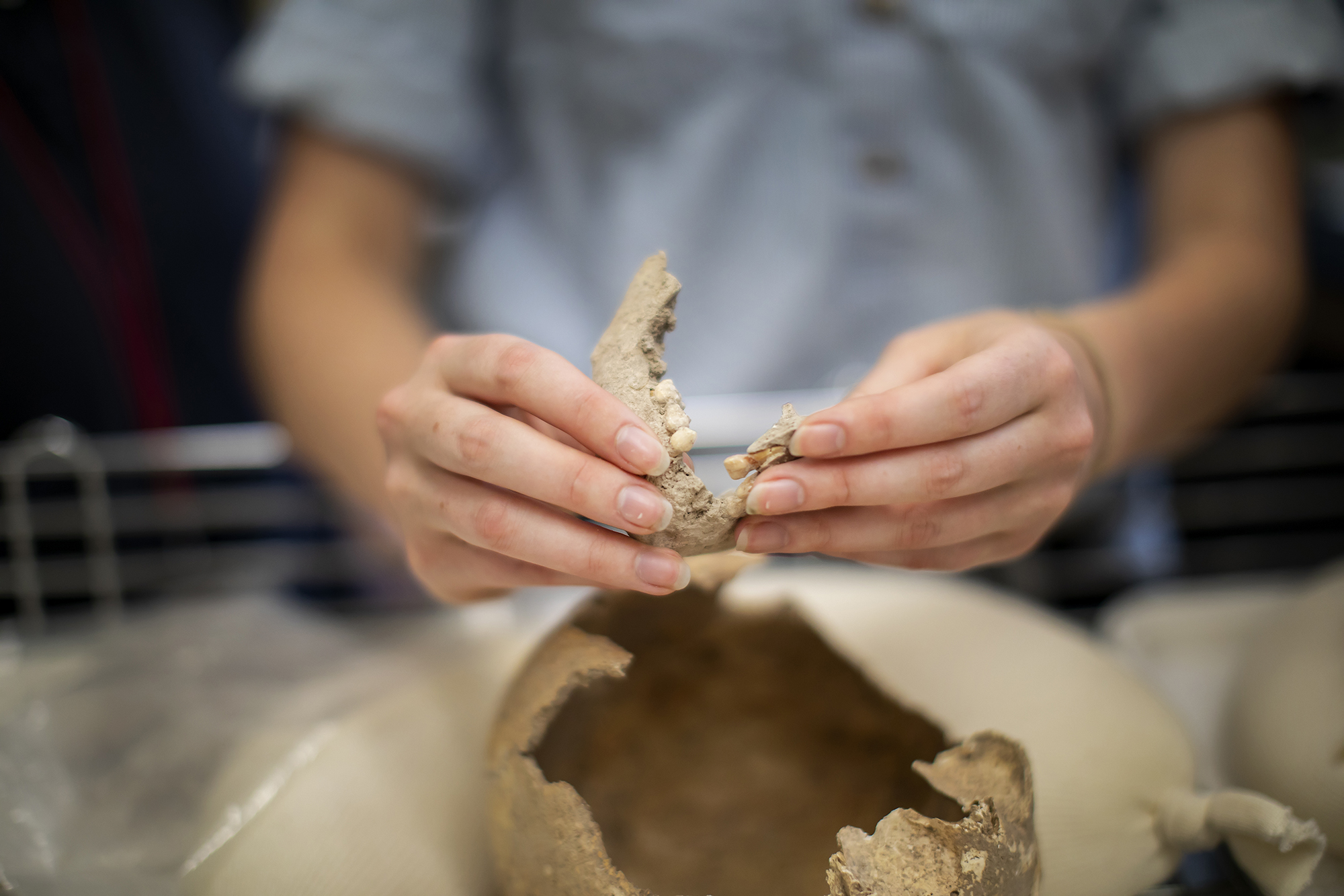 Some of the human remains rising senior Fiona Jensen-Hitch is studying in the lab of the Penn Museum’s Janet Monge.