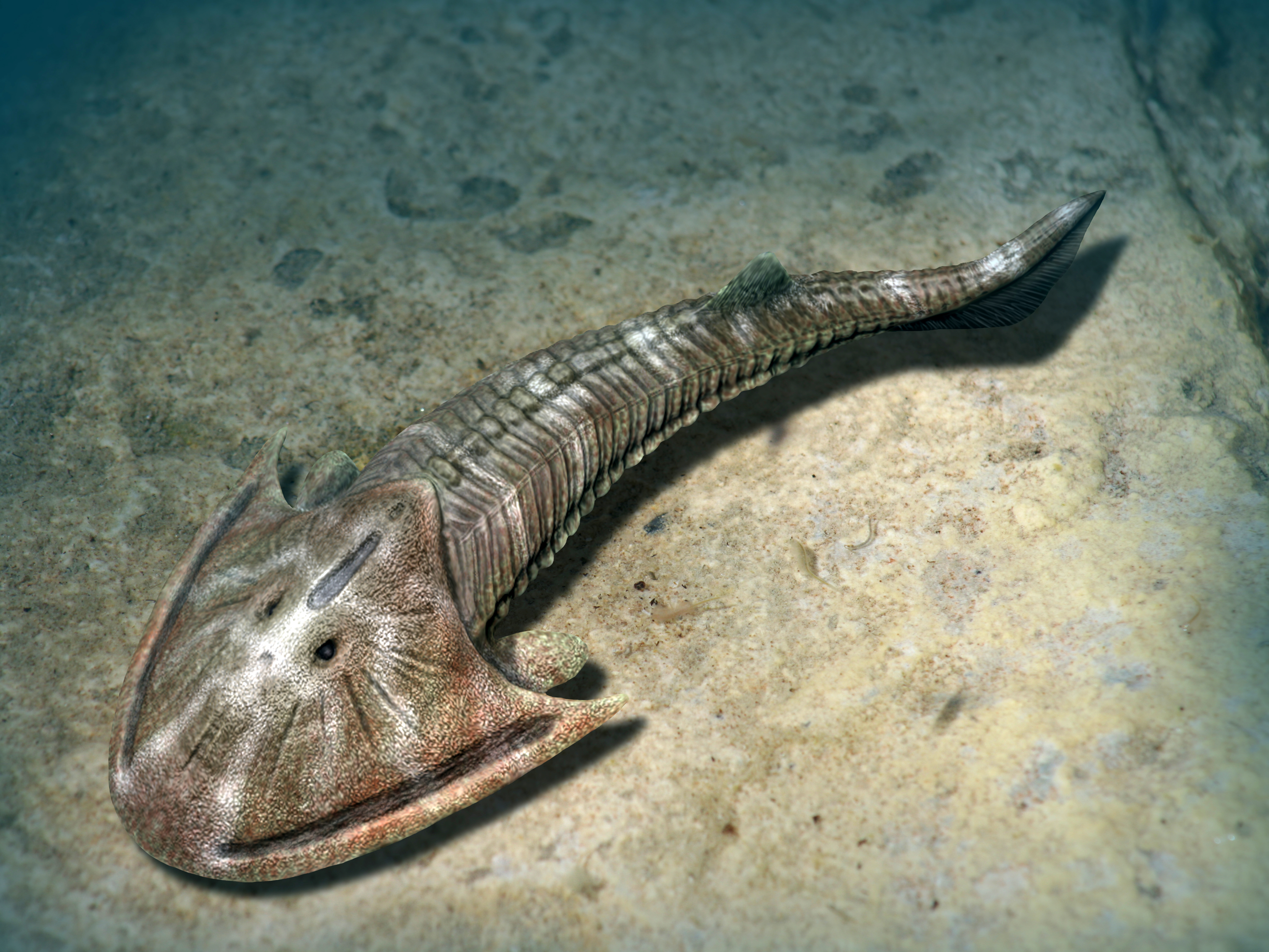 Armored ancient fish with long body on the ocean bed