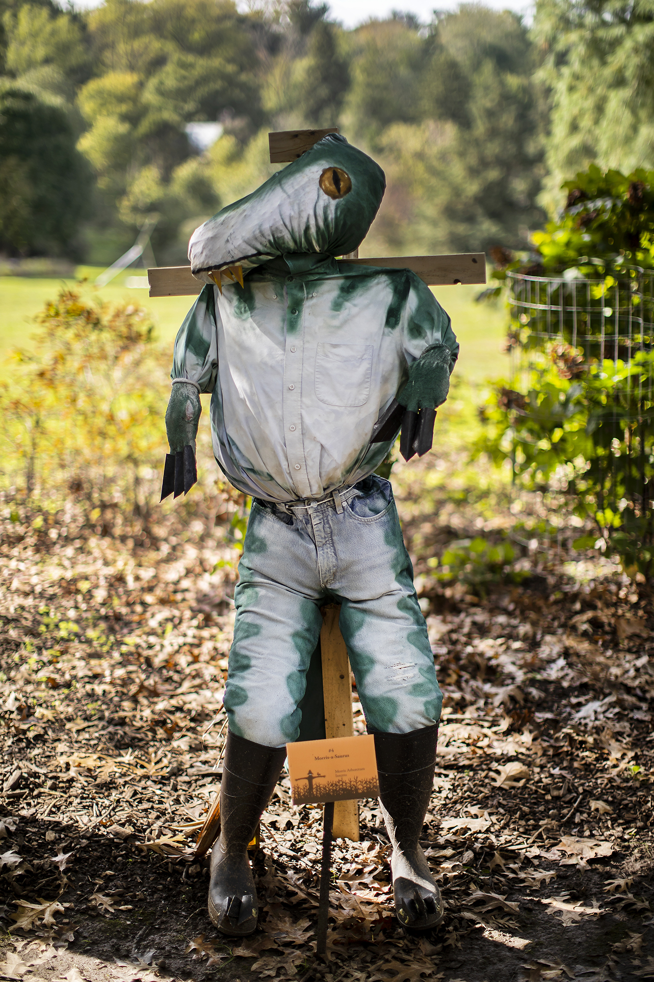 Dinosaur-Scarecrow-in-Field