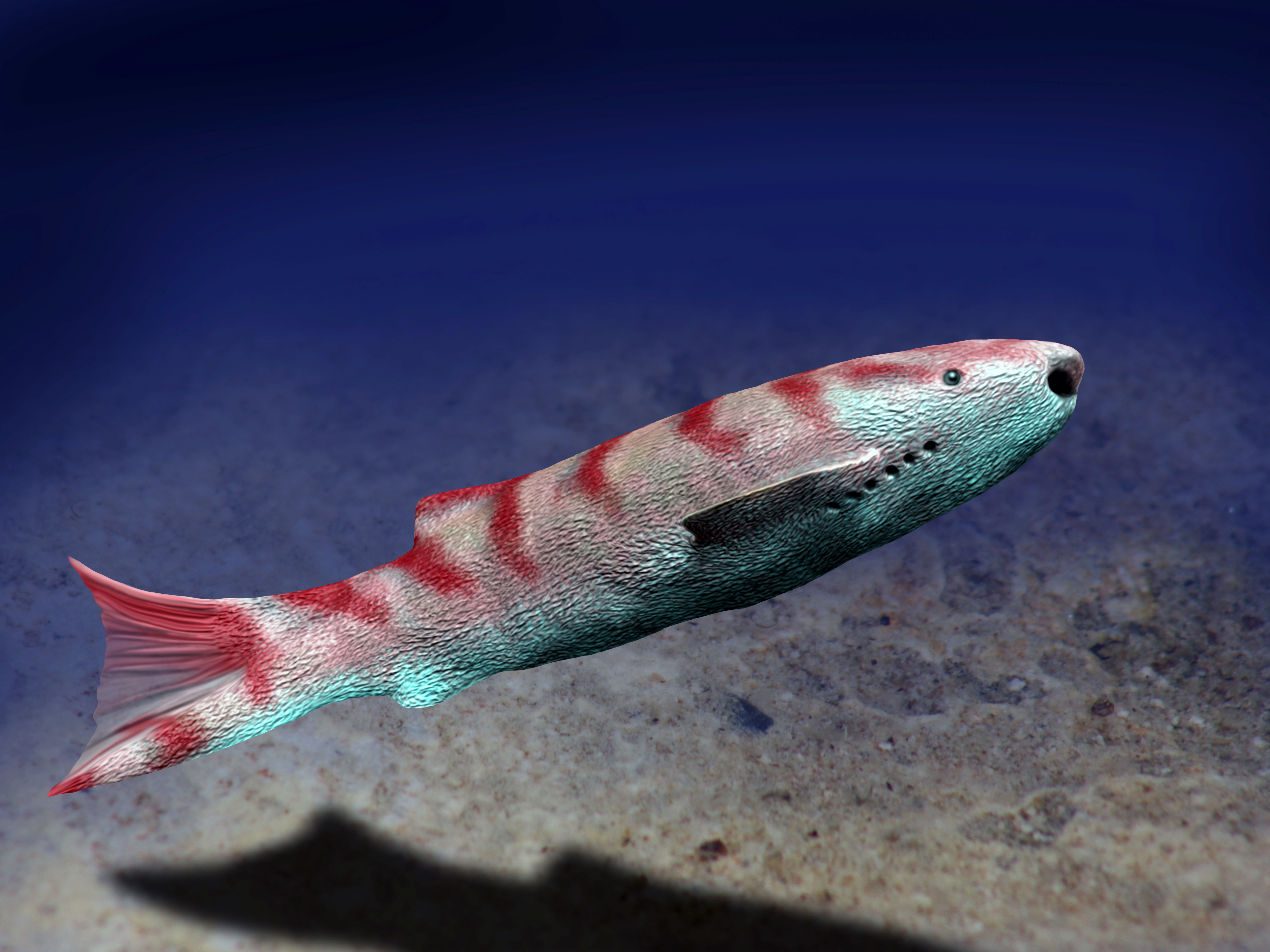 The earliest evidence of deep-sea vertebrates