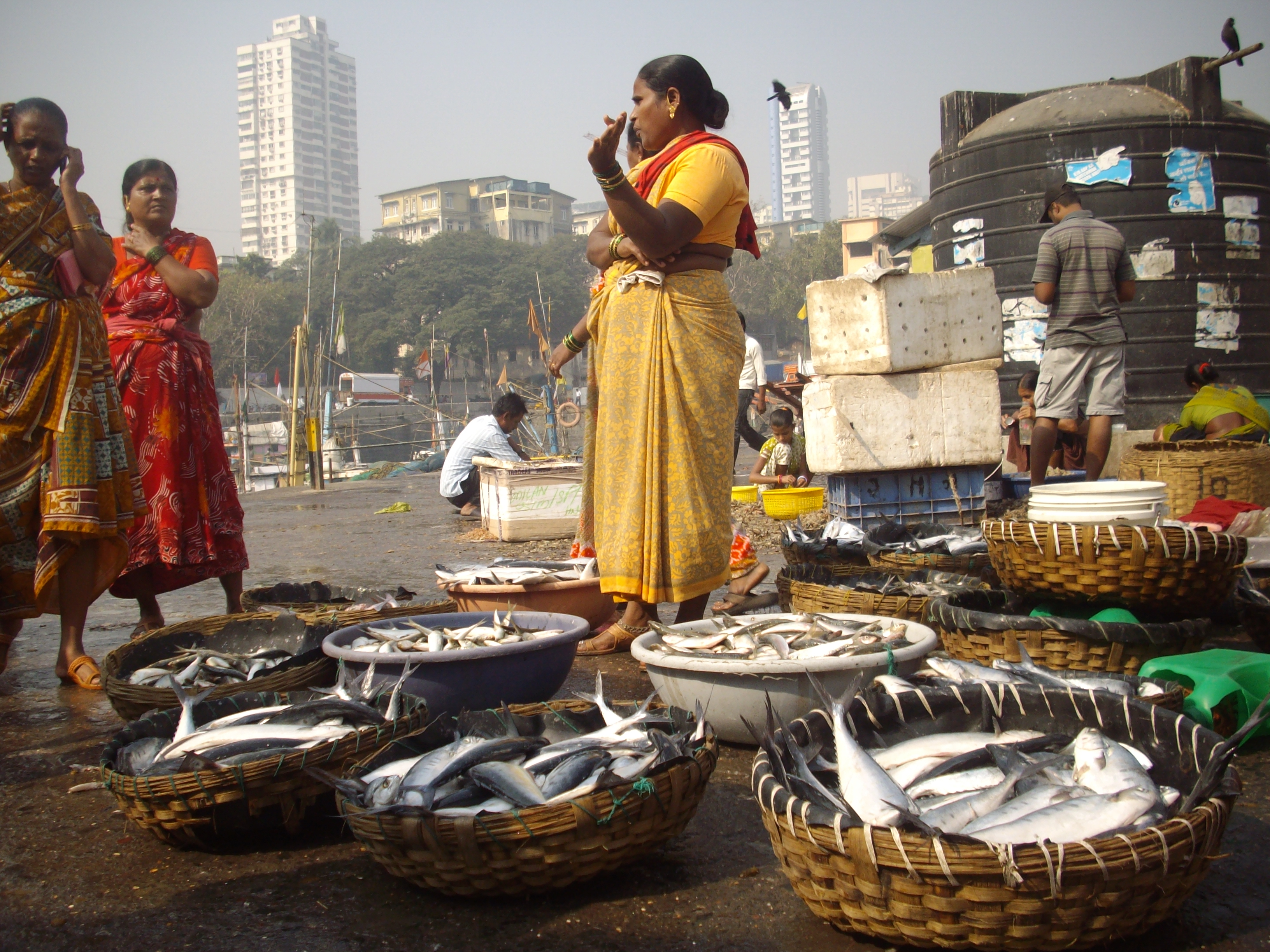 Women-chat-selling-at-Fish-Auction-dockside-in-Mumbai-India-photo-by-Photo by Rudolph A. Furtado, from Wikimedia Commons.