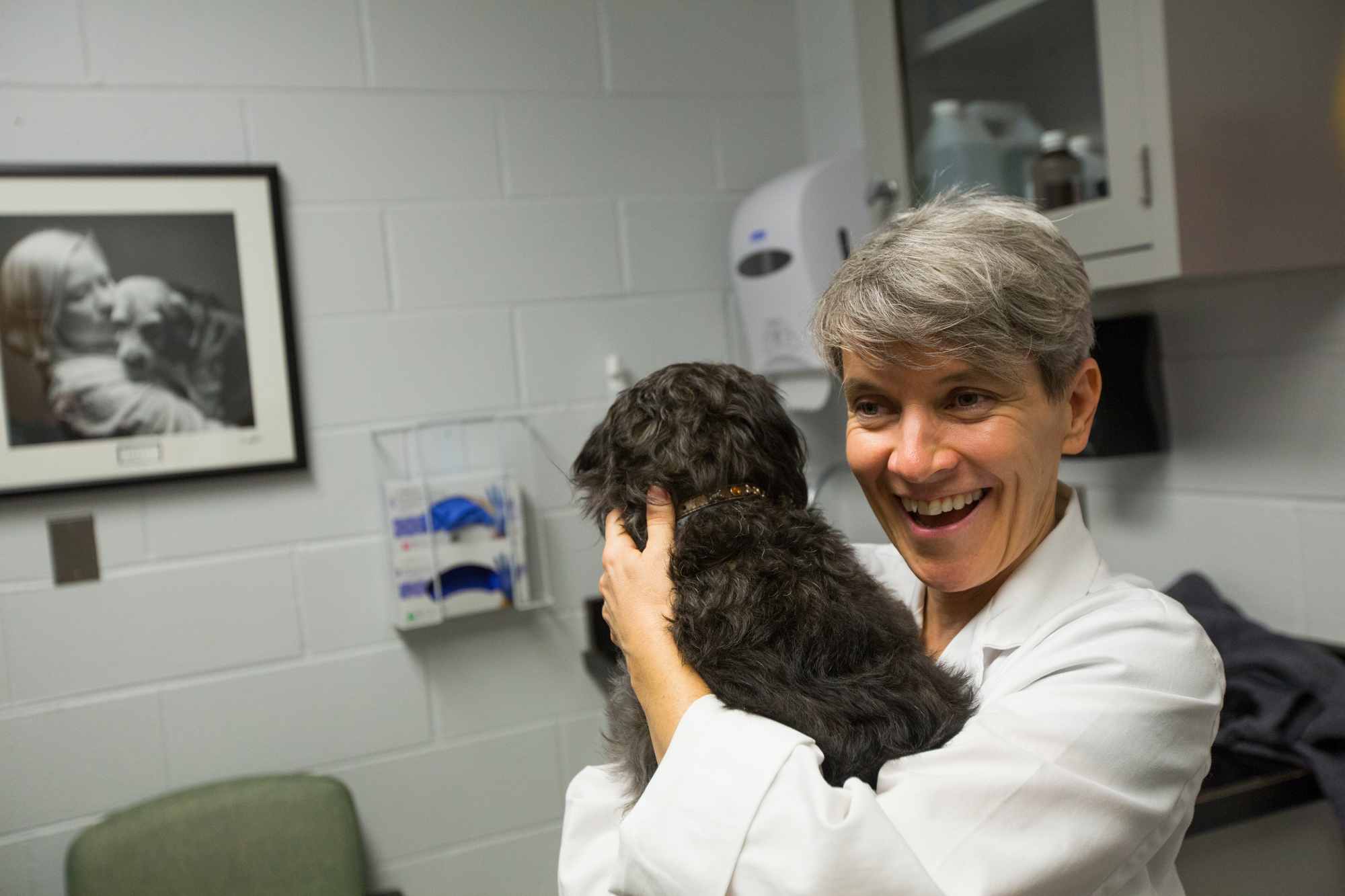 Cutting-edge science moves to the clinic to help ‘our furry friends’ fight cancer