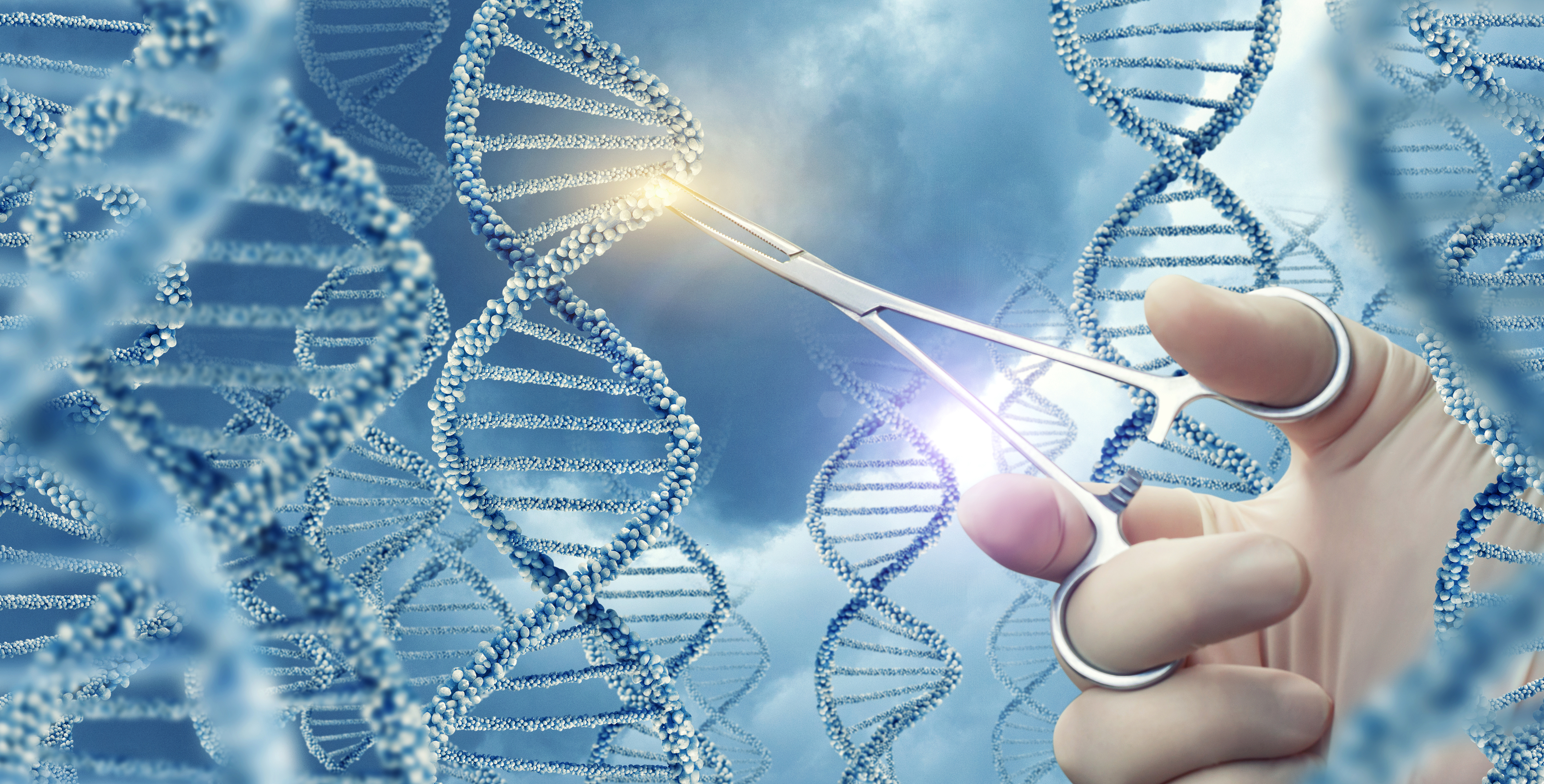 Gloved hand taking scissors to a strand of DNA.