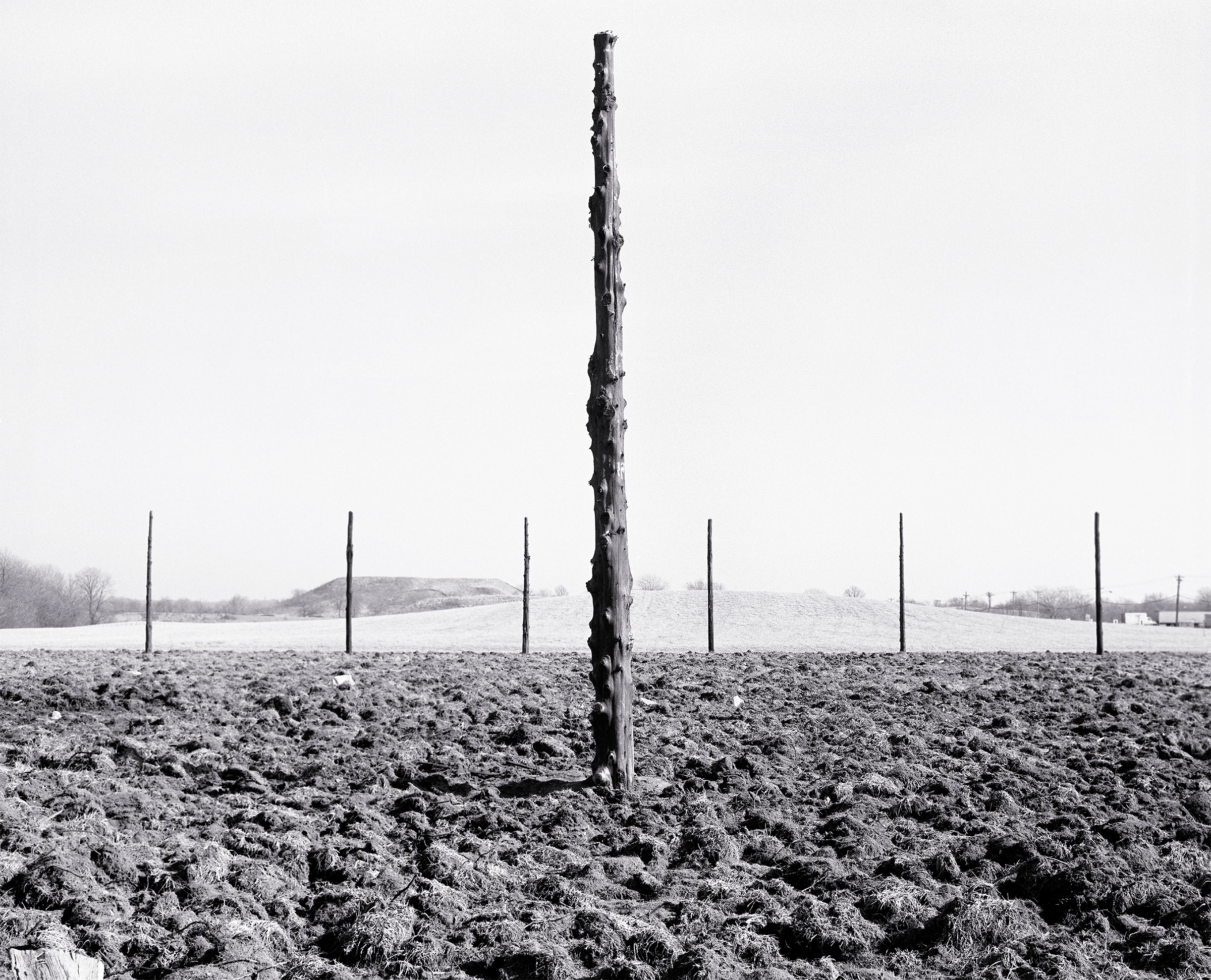 A large wooden pole stands on the ground with six other wooden poles arranged around it