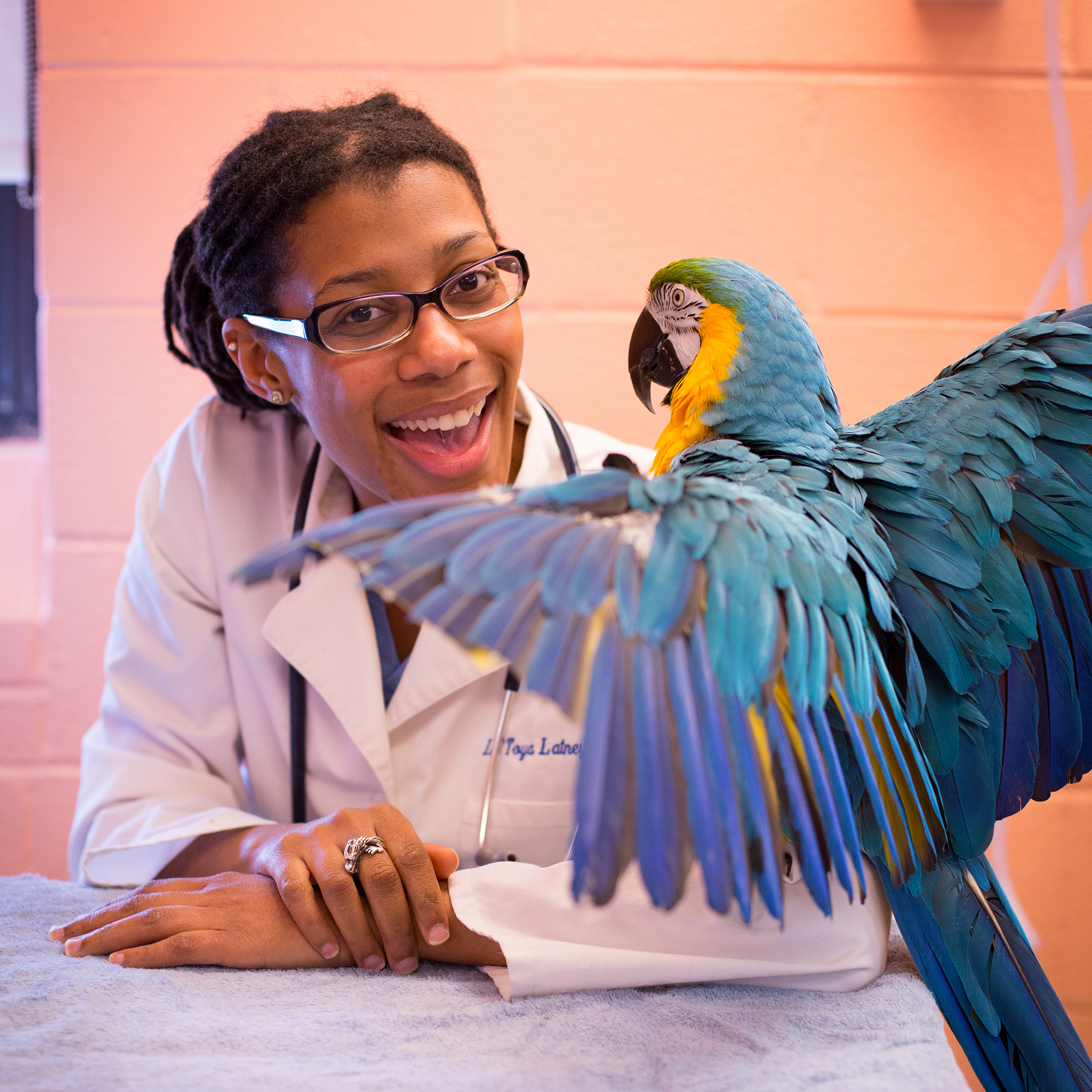 Latoya Latney with Penn Vet exotics bird