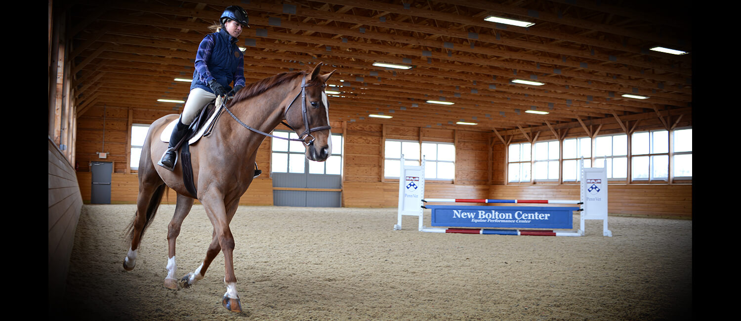 rider on a horse in a large indoor equine facility