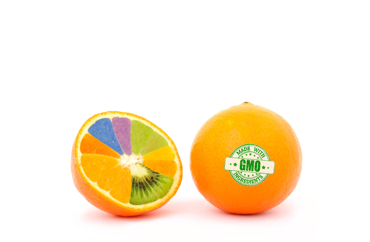 orange with GMO sticker sliced in half with different colored orange segments inside