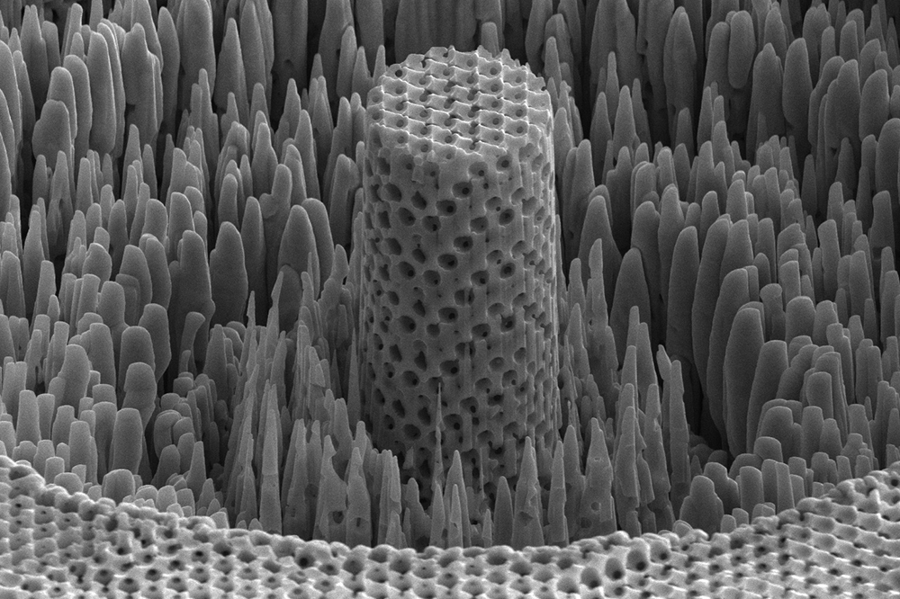 microscopic sample of metallic wood