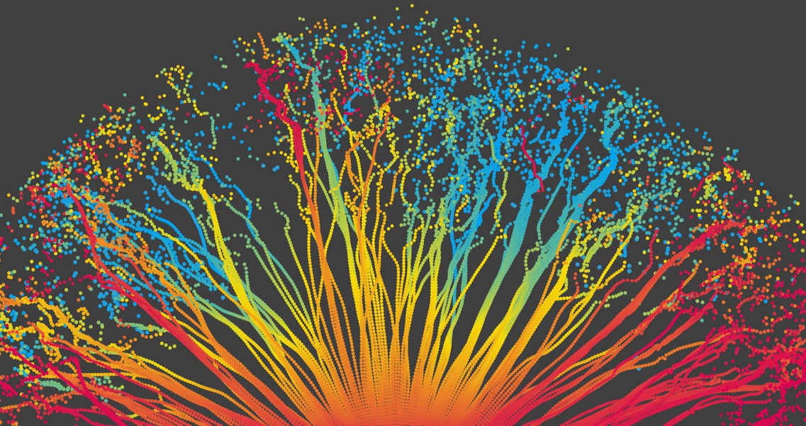 colorful dots arranged to look like the neurons inside a brain