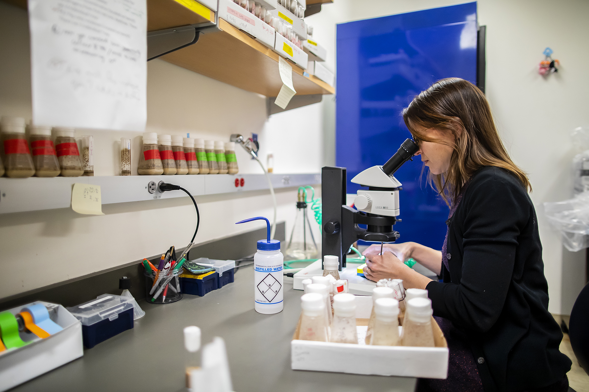 Mia Levine looking into a microscope in a lab