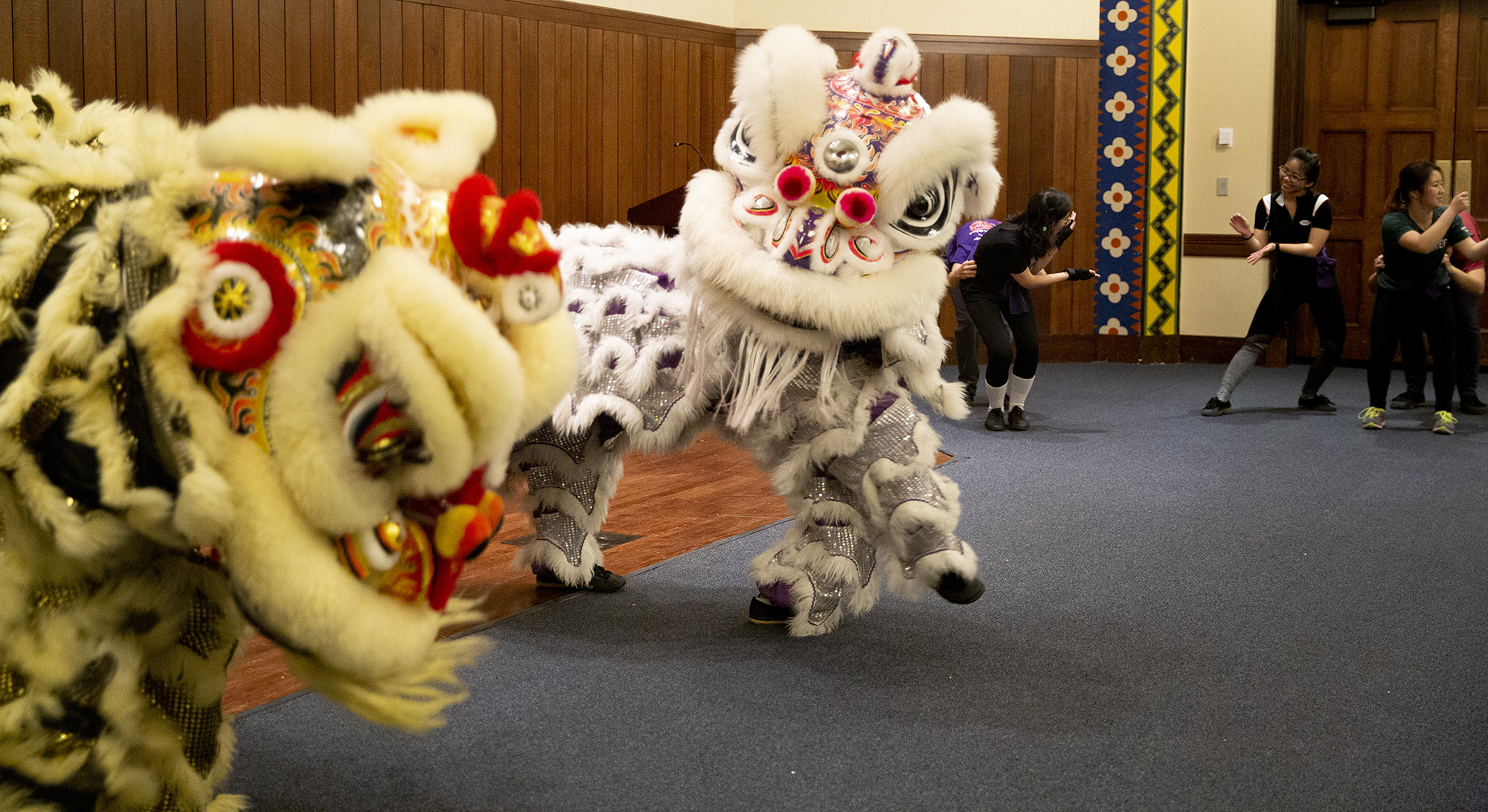 Two lion costumes that each have two students inside during performance.