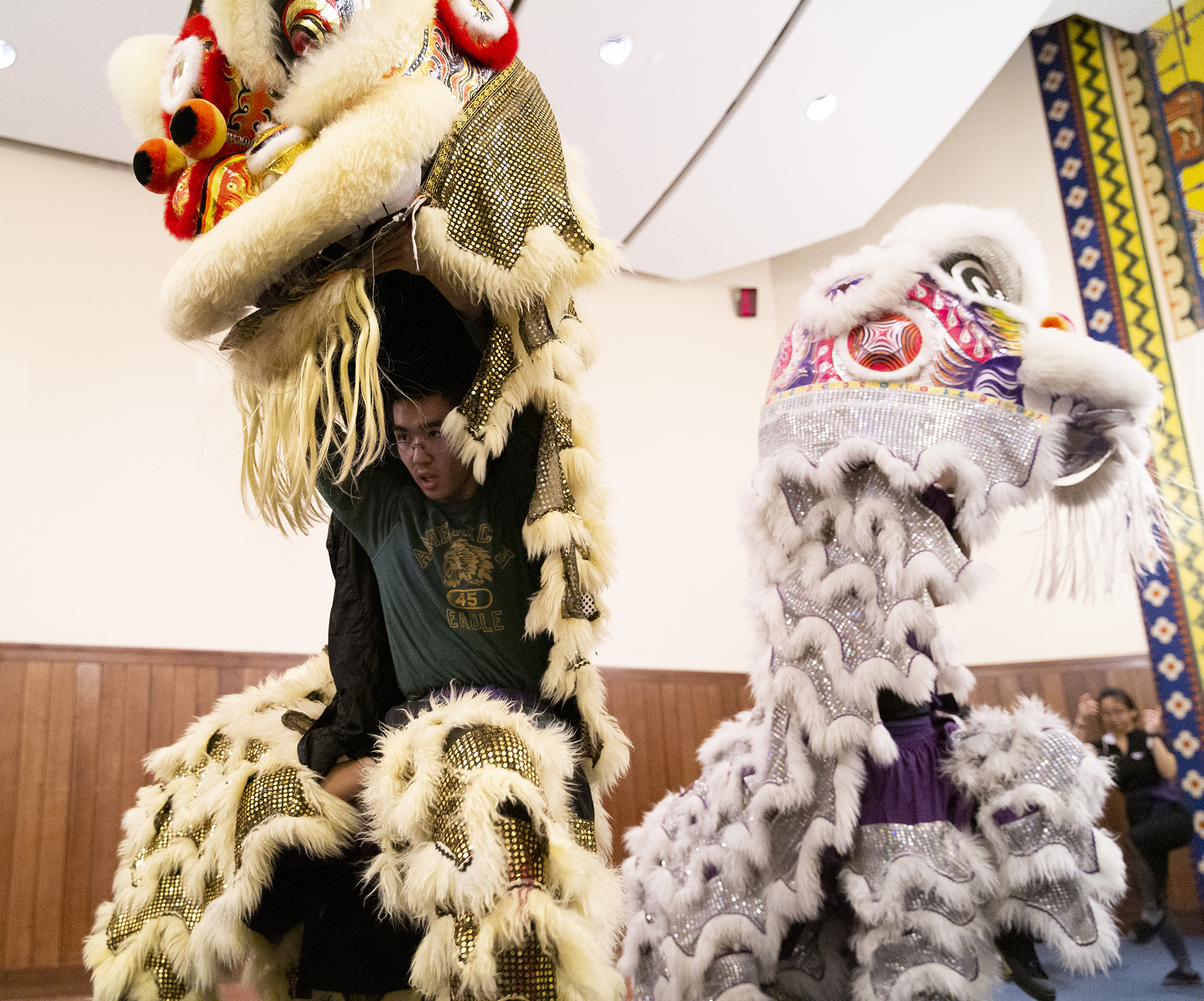 Two lion costumes with heads up and necks extended and one student visible lifting the head. 