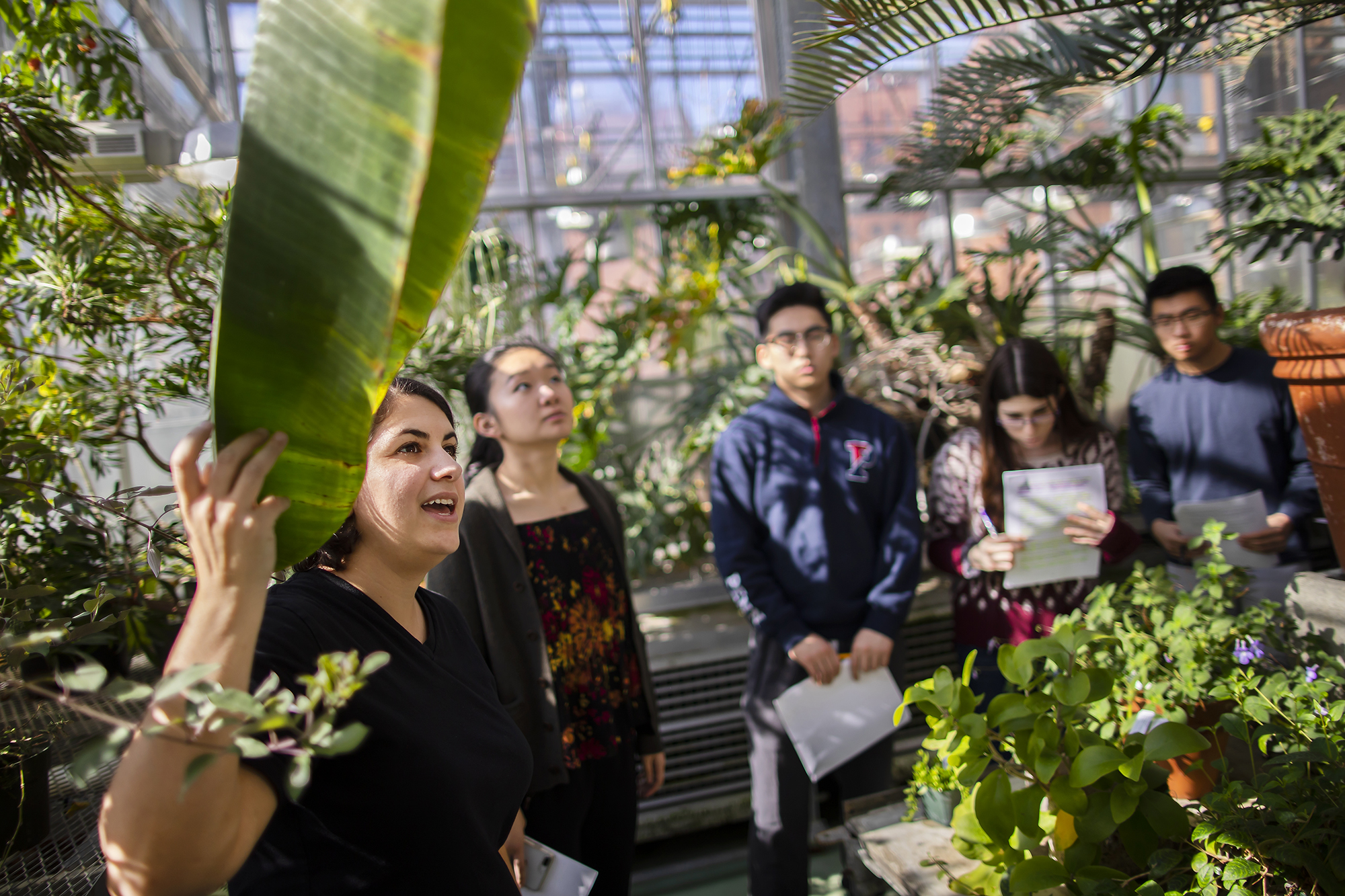 Holding a broad tropical leaf, a person speaks to students holding papers in a greenhouse.