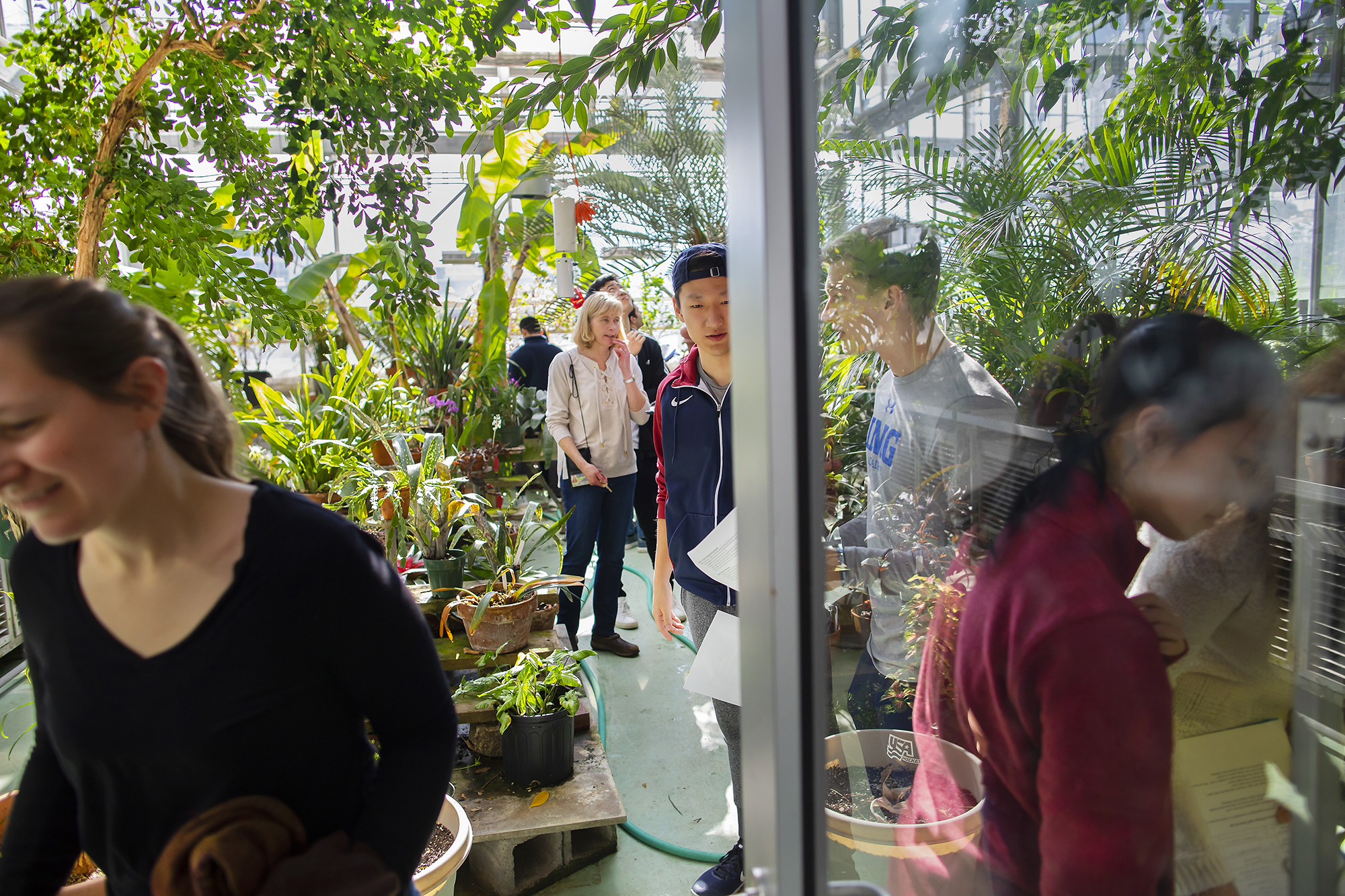 Viewed partially through a glass door, people look around a greenhouse filled with vibrant green plants, some flowering.