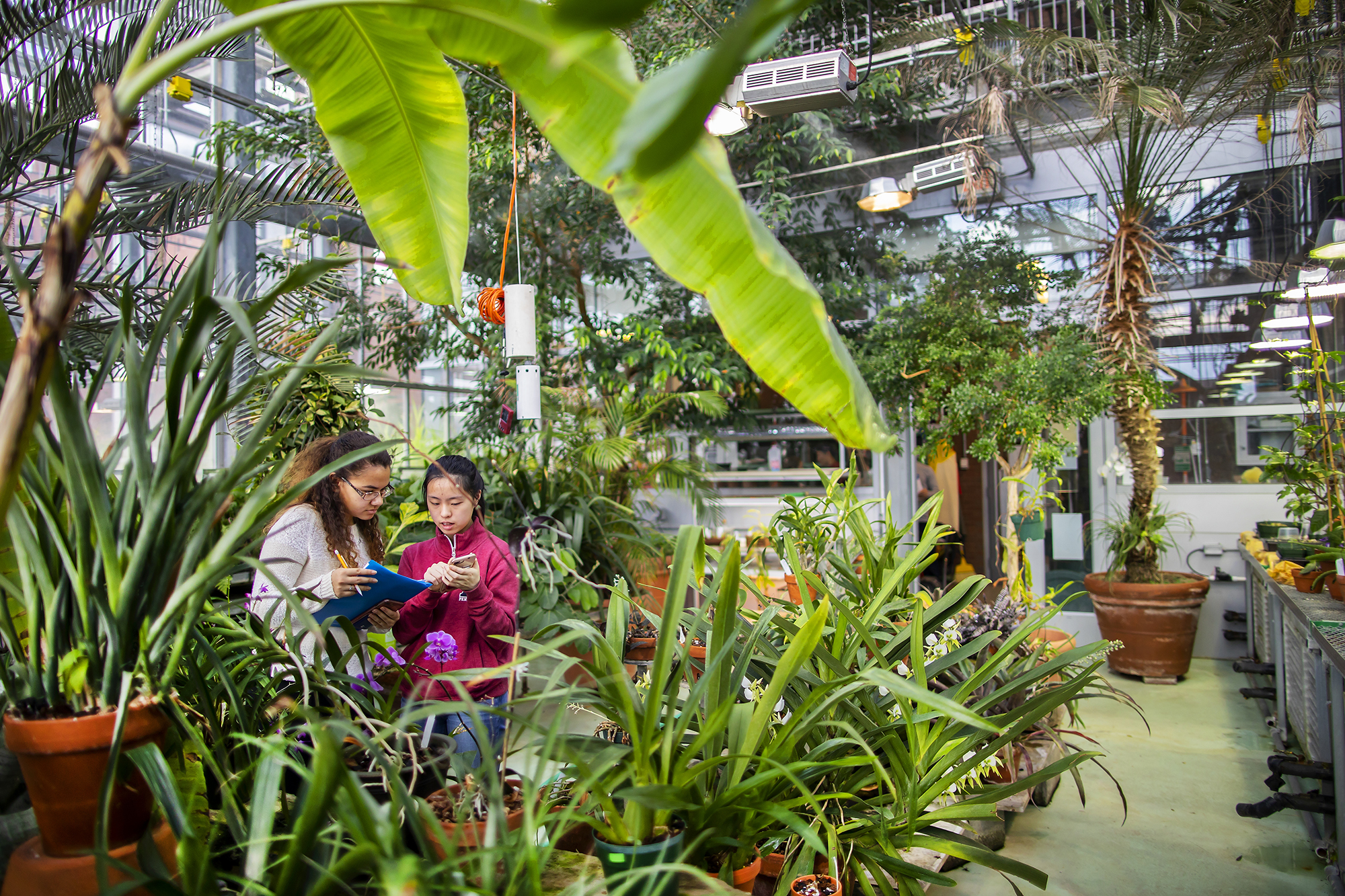 Two students examine one of their phones for information as the other holds a folder and pencil. They are framed by vibrant green plants in a greenhouse.