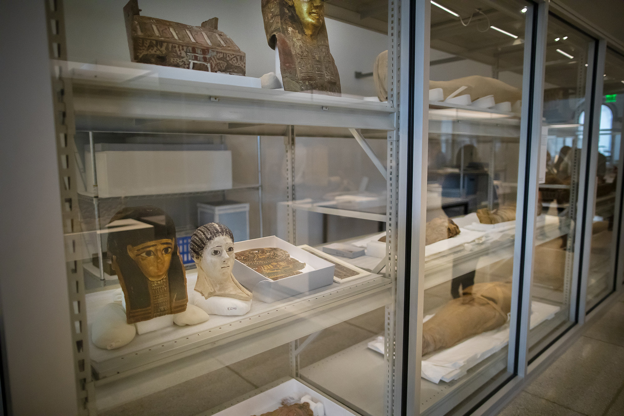 Visible storage area with Egyptian artifacts on display